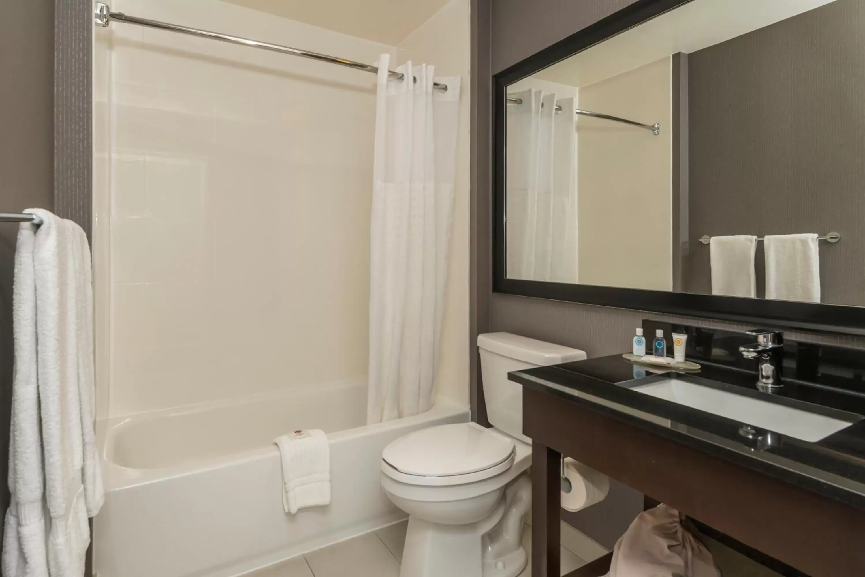 Shower, Bathroom in Comfort Inn Ottawa West- Kanata
