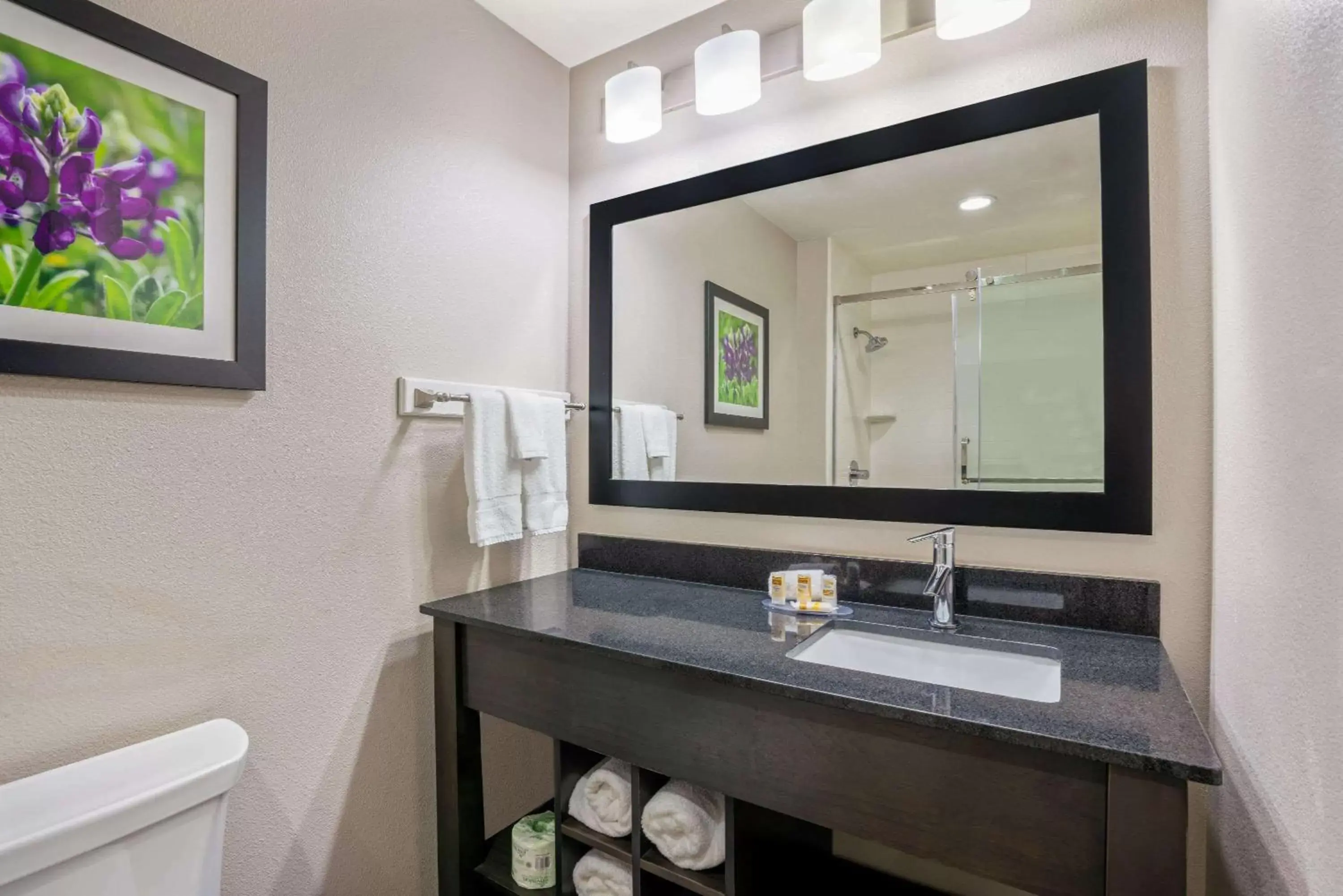 Bathroom in La Quinta by Wyndham College Station South