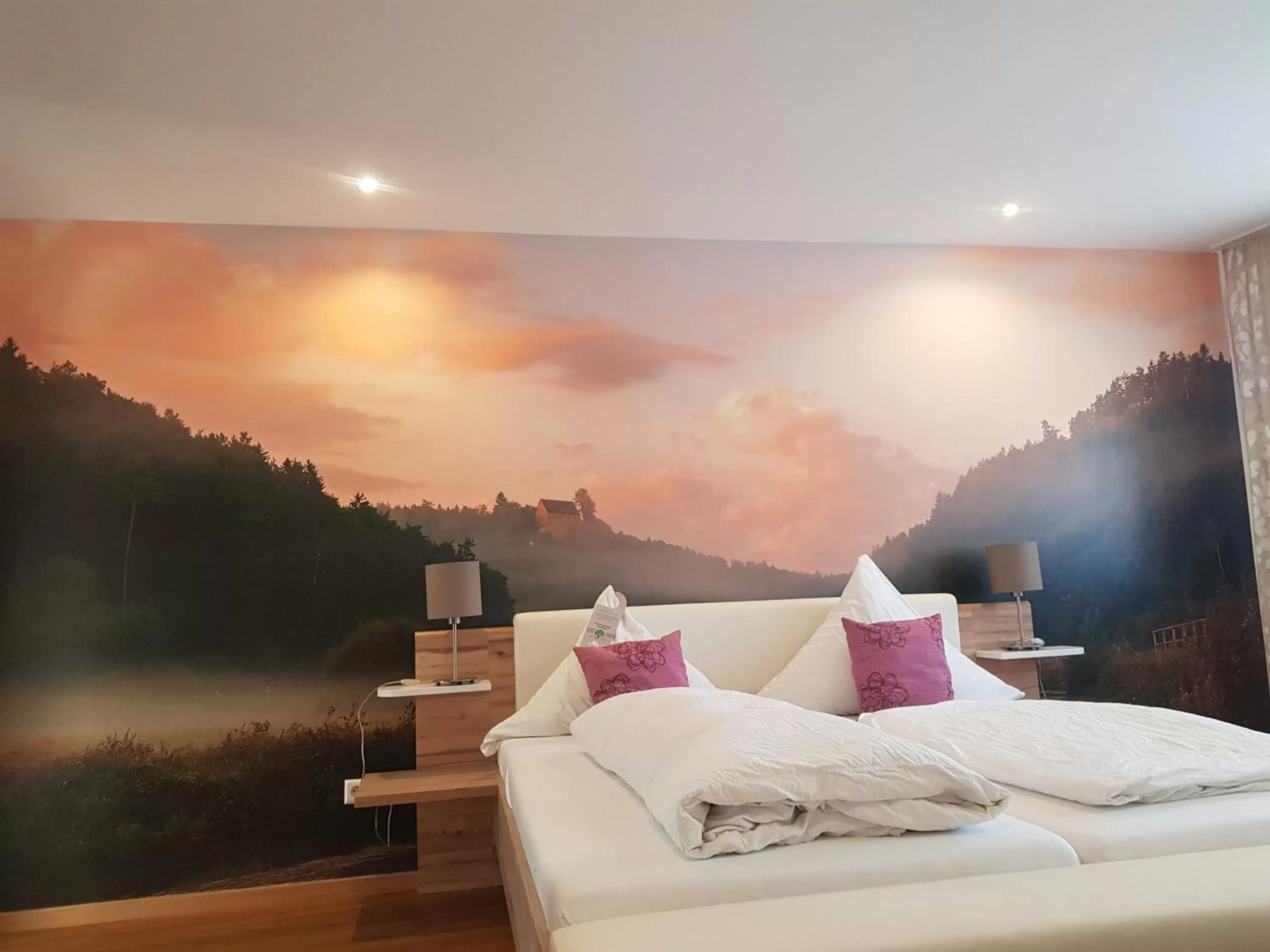 Photo of the whole room, Bed in Gasthof Zur Seku