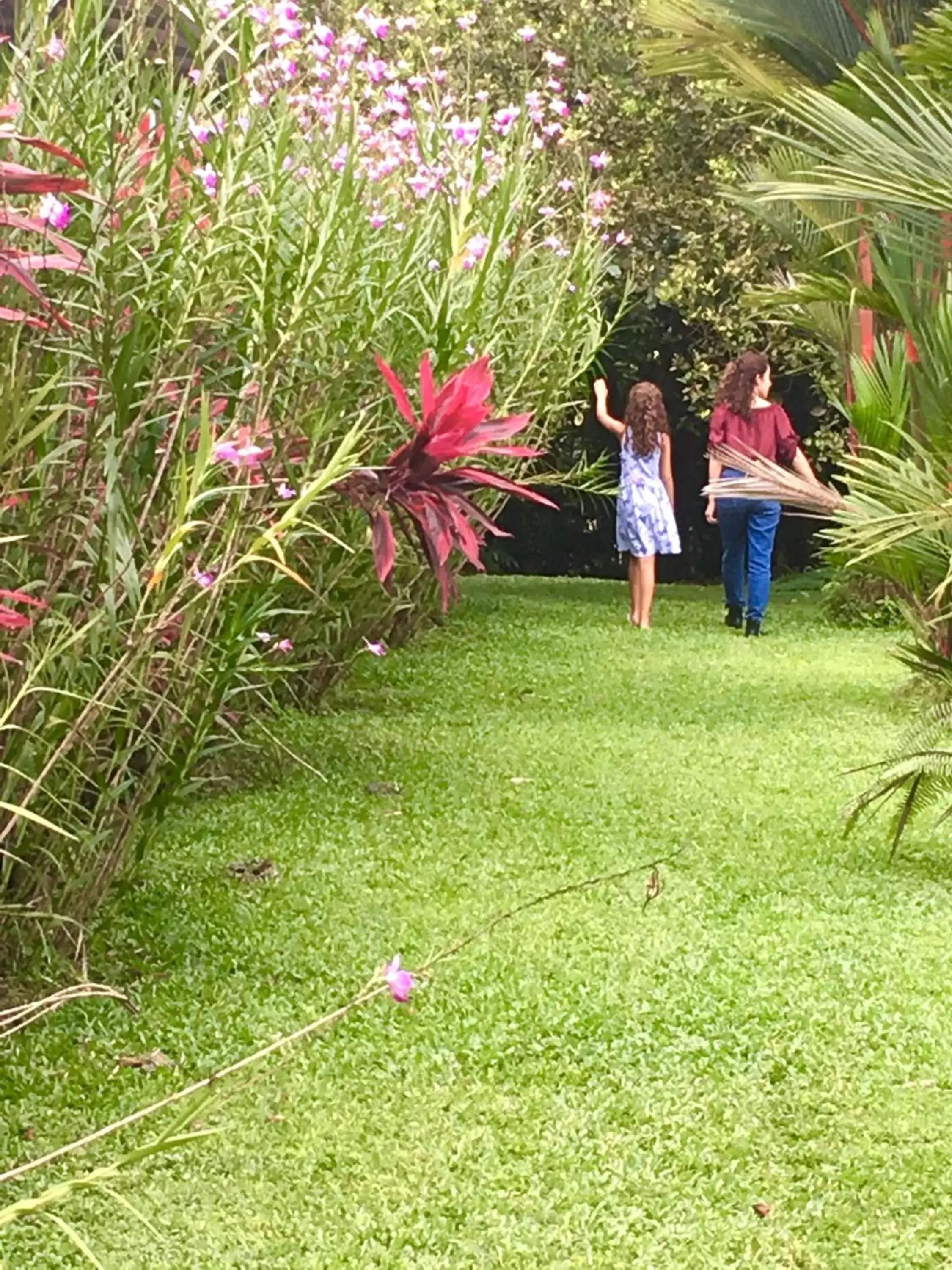 Garden in Hotel Colores del Arenal