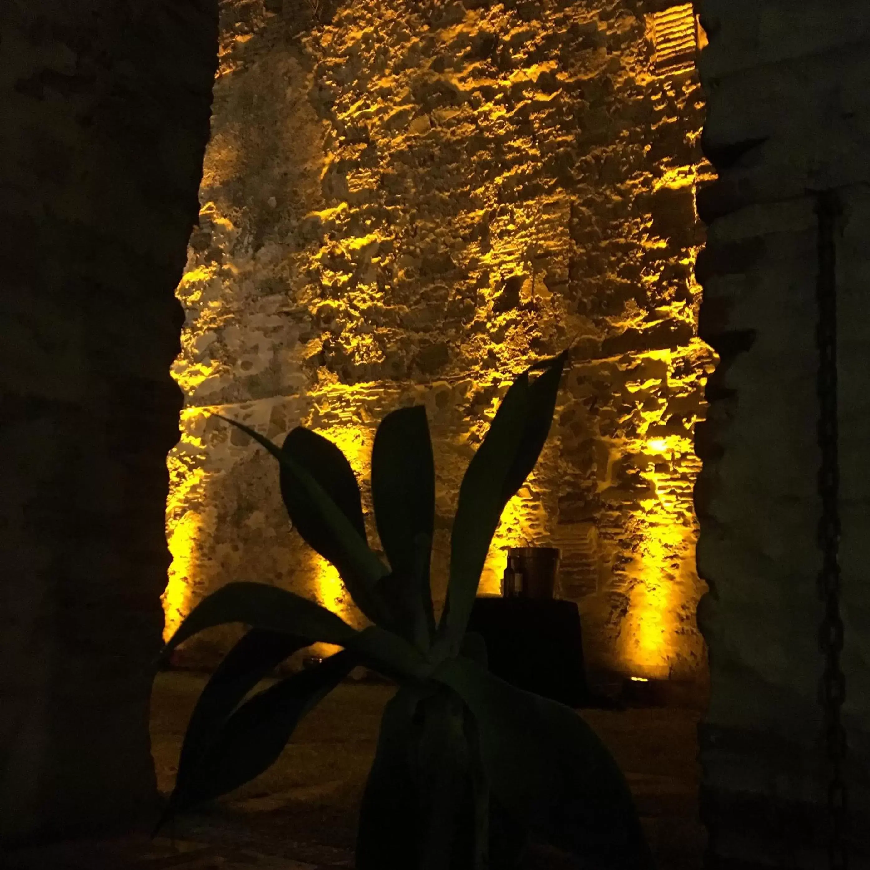 Garden in Convento Tarifa