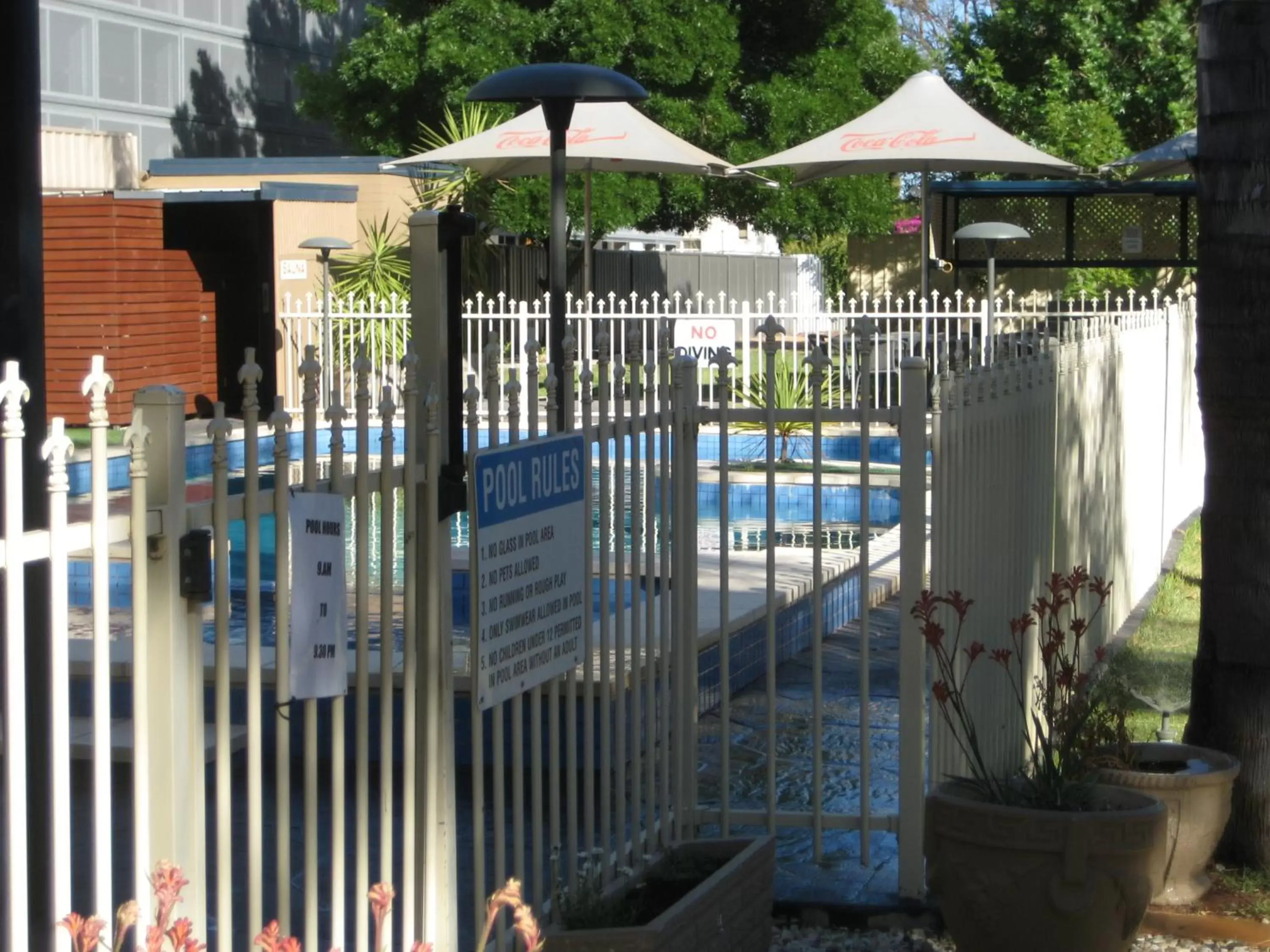 Swimming pool, Pool View in Sandors Motor Inn