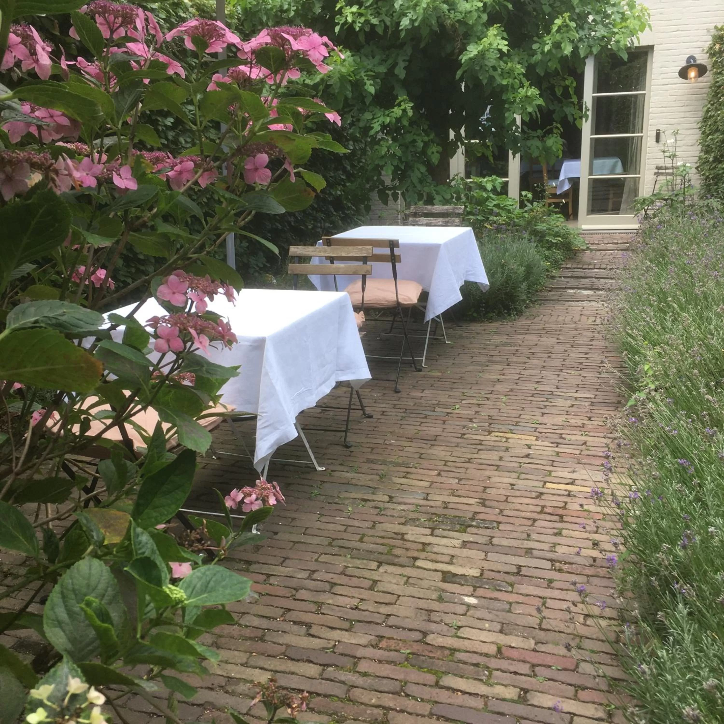 Garden in Boetiekhotel Hemelhuys