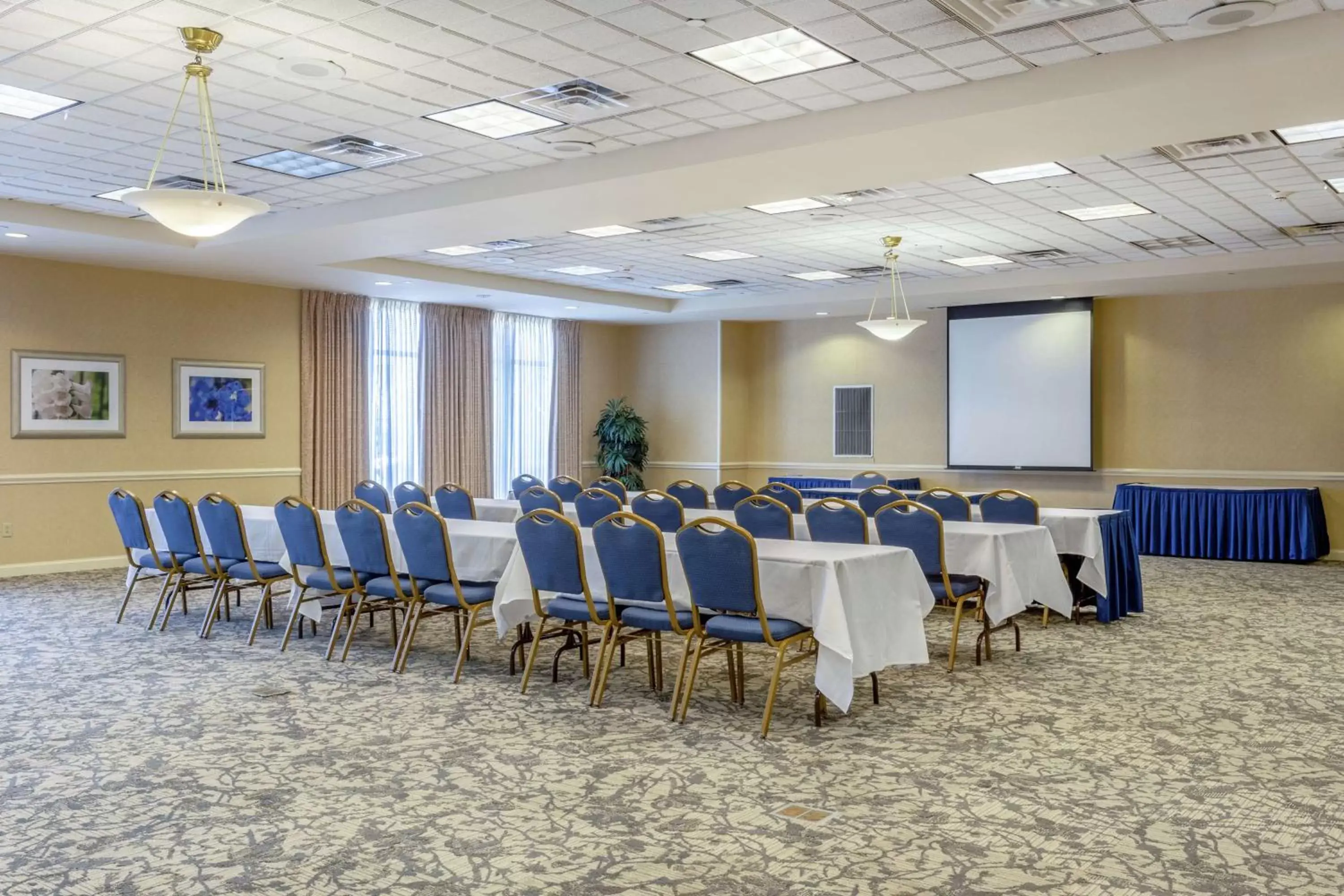 Meeting/conference room in Hilton Garden Inn Richmond South/Southpark