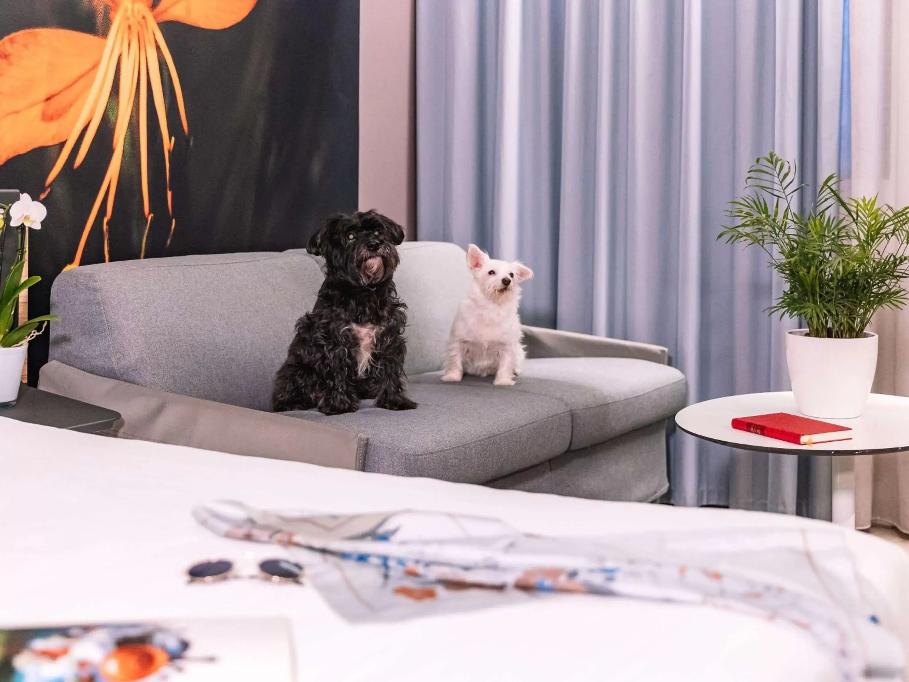 Bedroom, Pets in Novotel Milano Linate Aeroporto