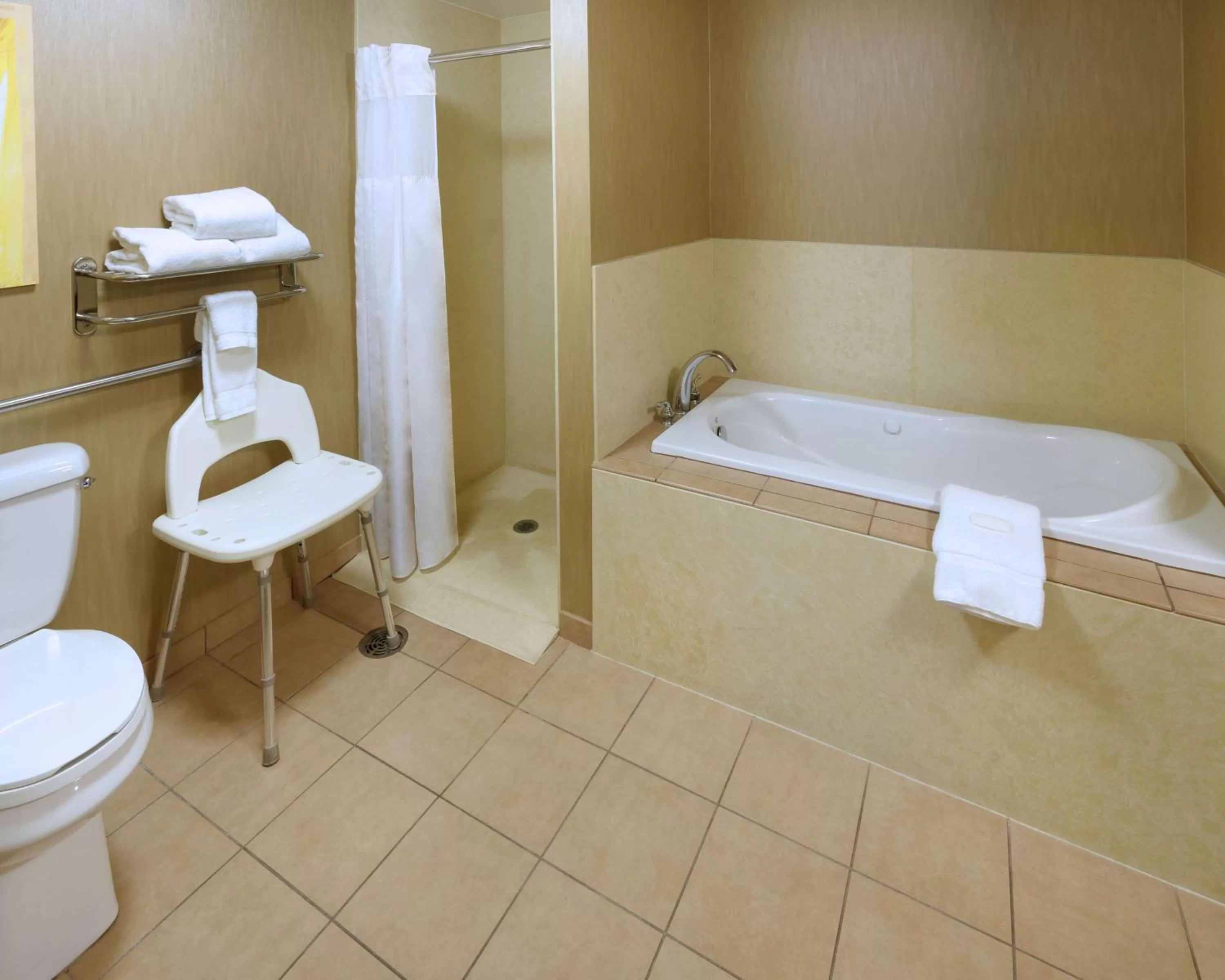 Bathroom in Hilton Garden Inn Springfield, MO