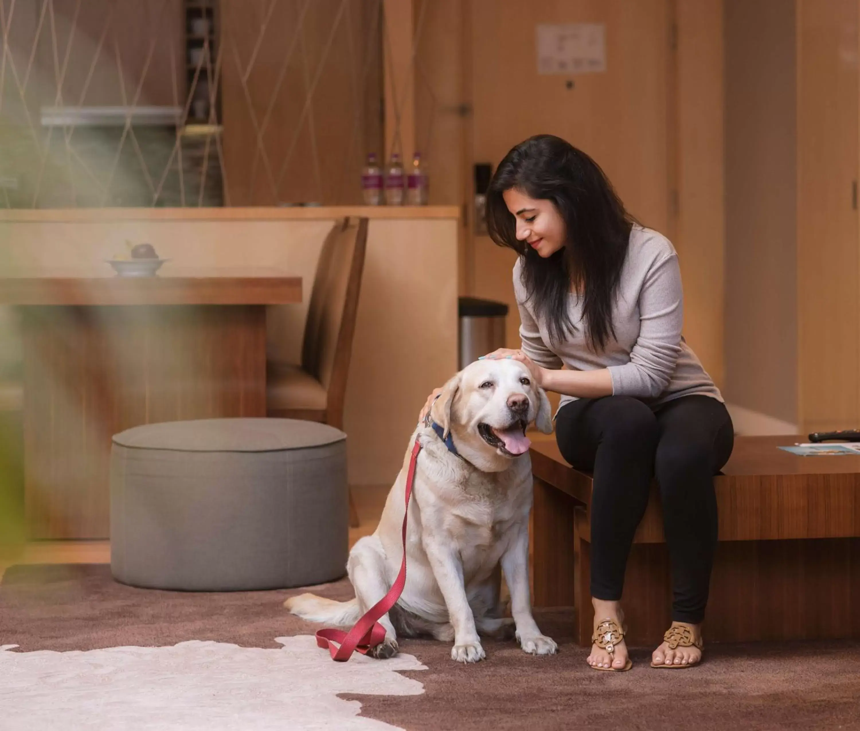 Bedroom, Pets in Hyatt Regency Pune Hotel & Residences