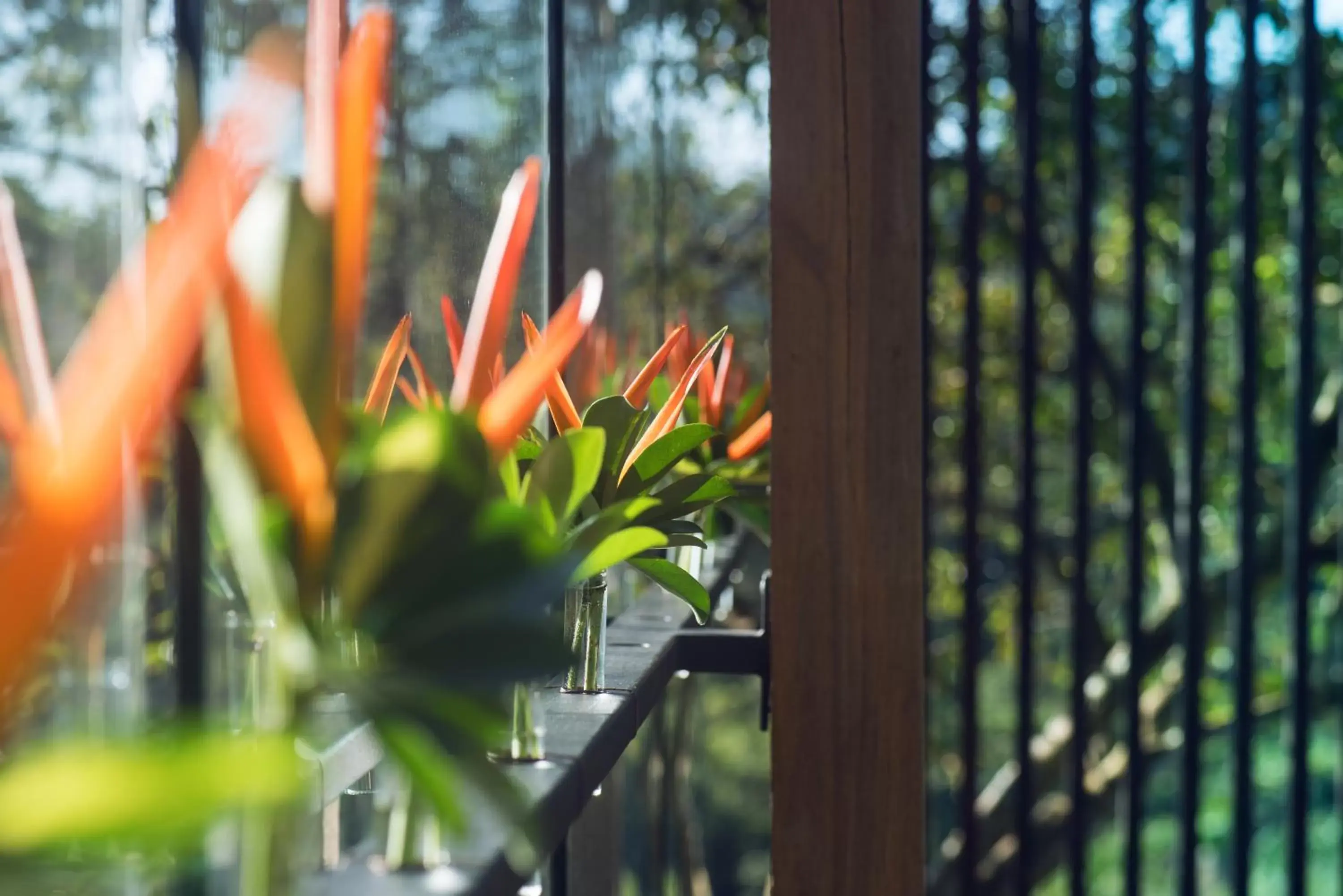 Garden in Ecolirios Boutique Hotel and Spa