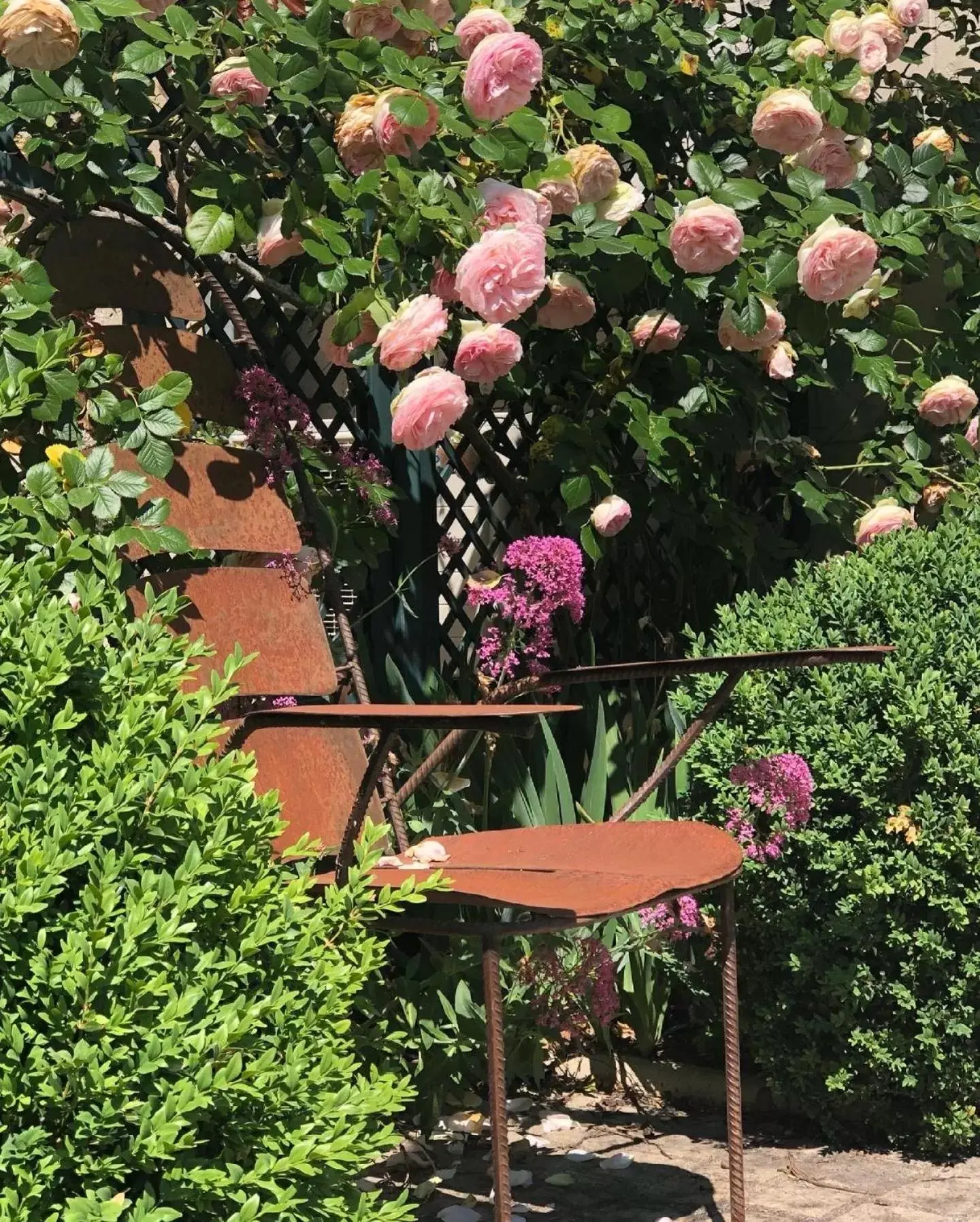 Garden in Hôtel Le Choiseul