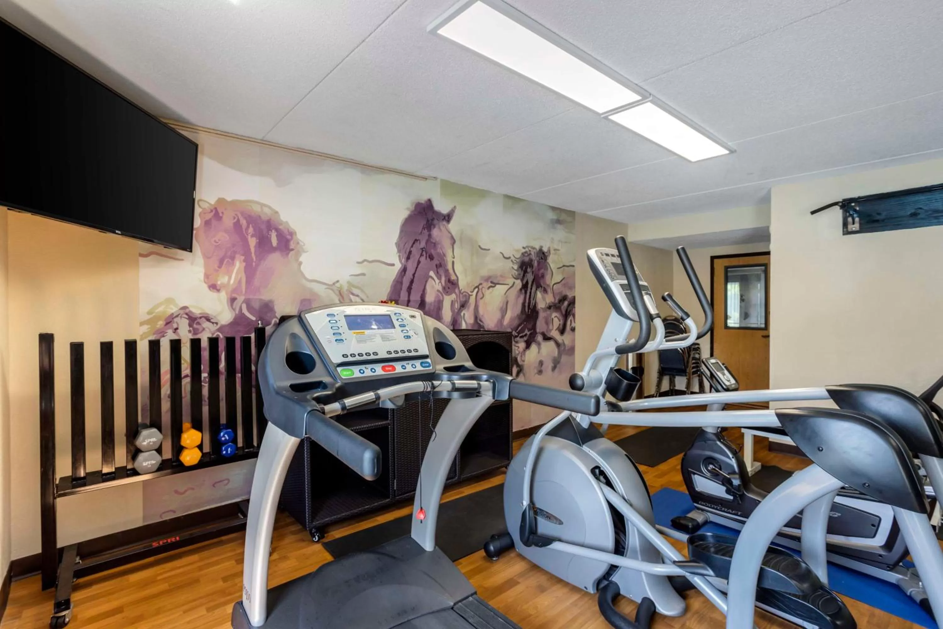 Fitness centre/facilities in Best Western Harrisburg North Hotel