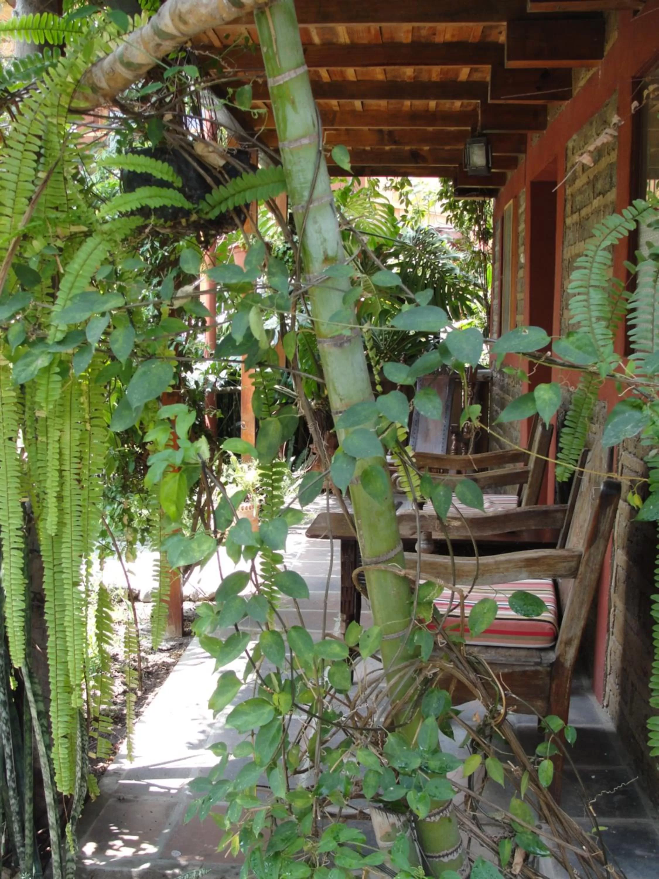 Property building in Hotel Utz Jay