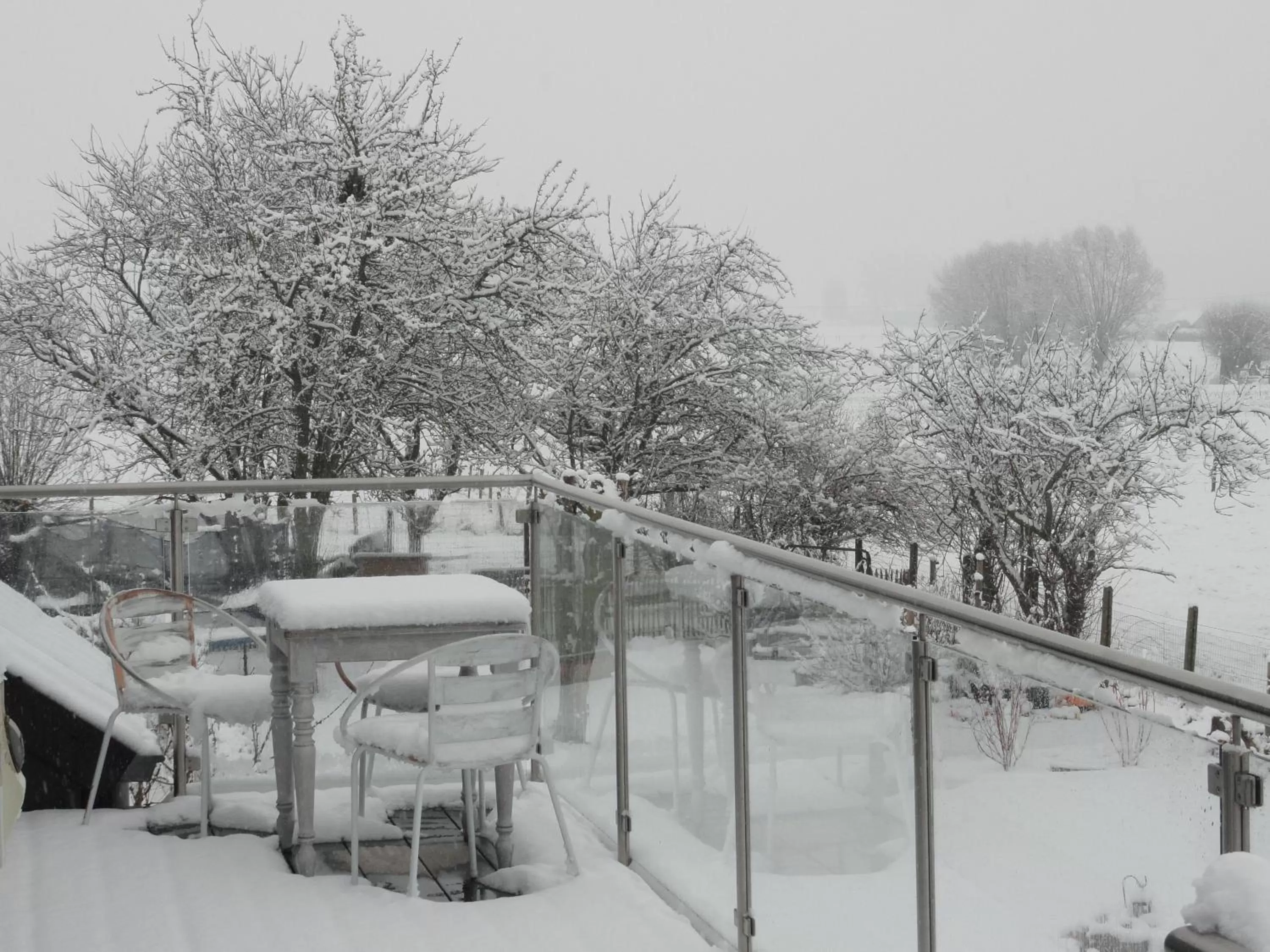 Natural landscape in B&B Altijd Genieten