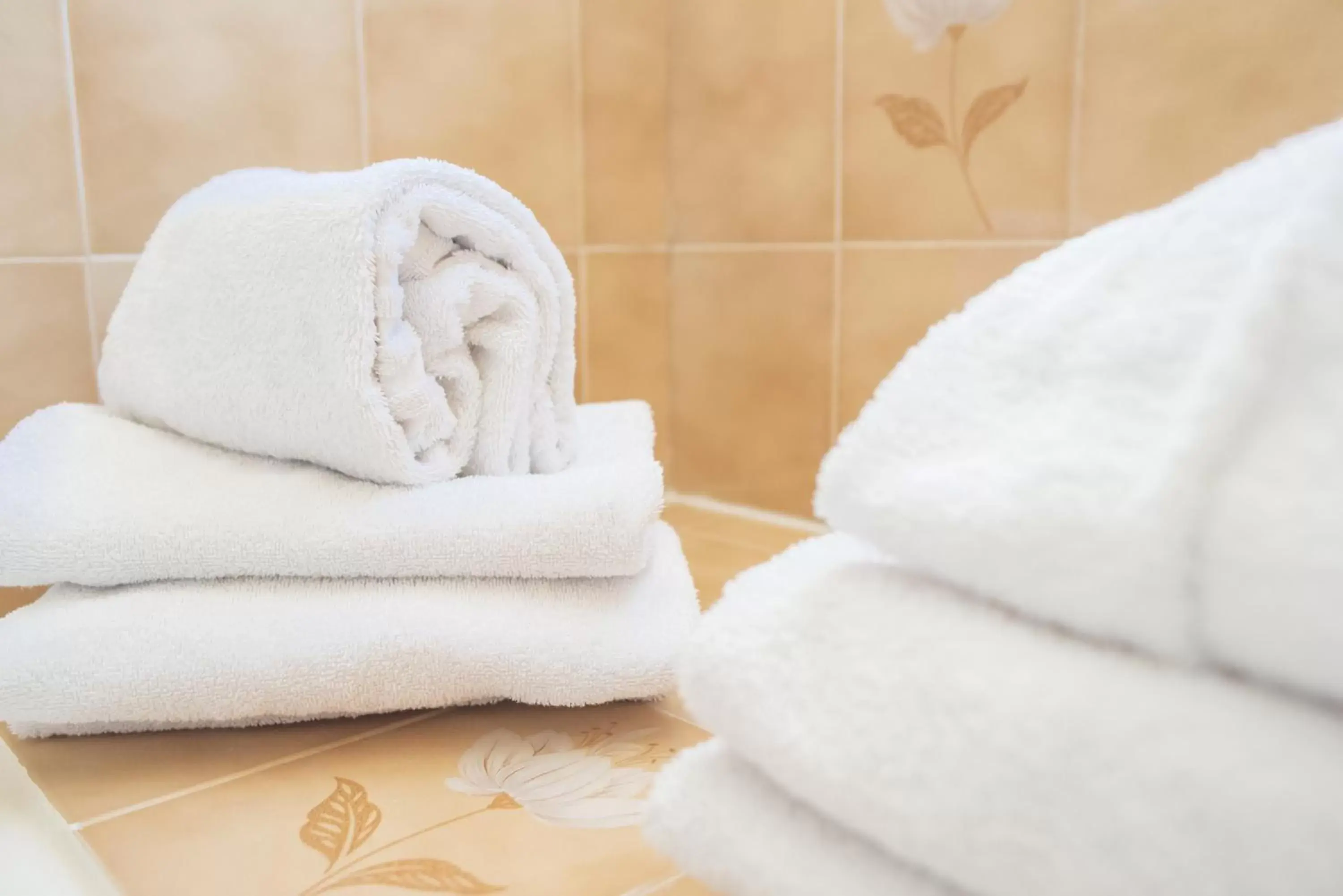 towels, Bathroom in Hotel des Pyrénées