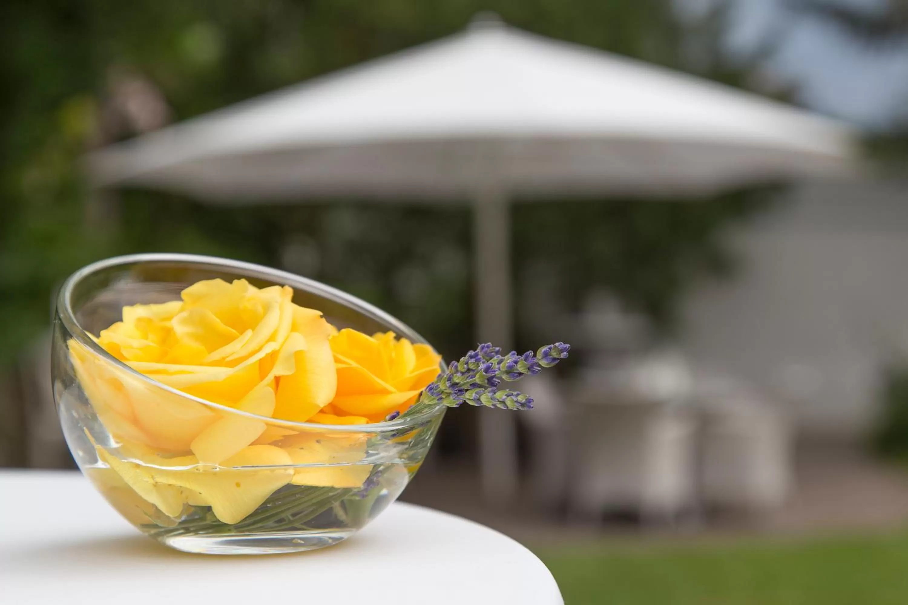 Hotel-Restaurant Arneggers Adler