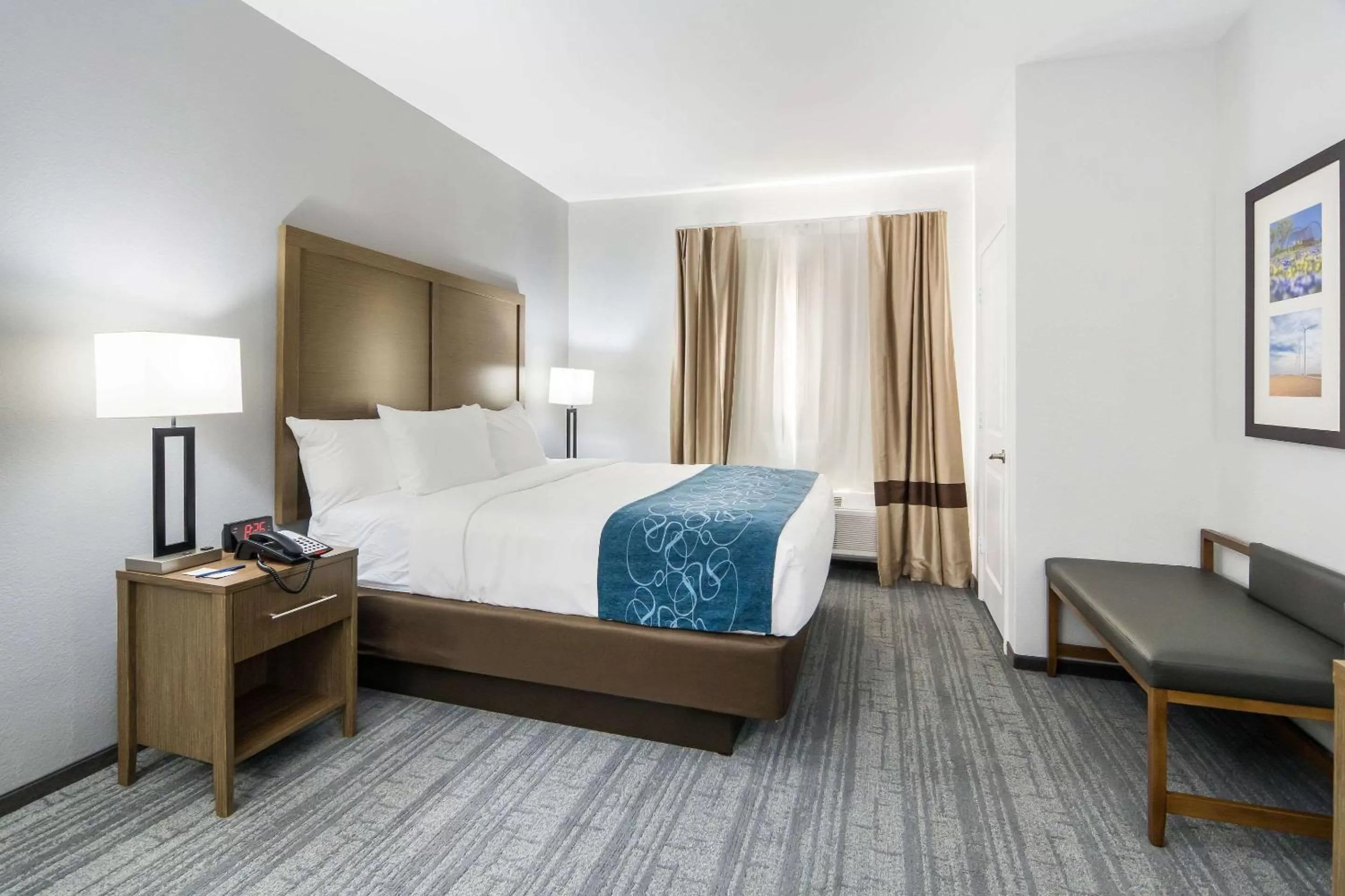 Bedroom, Bed in Comfort Suites DeSoto Dallas South