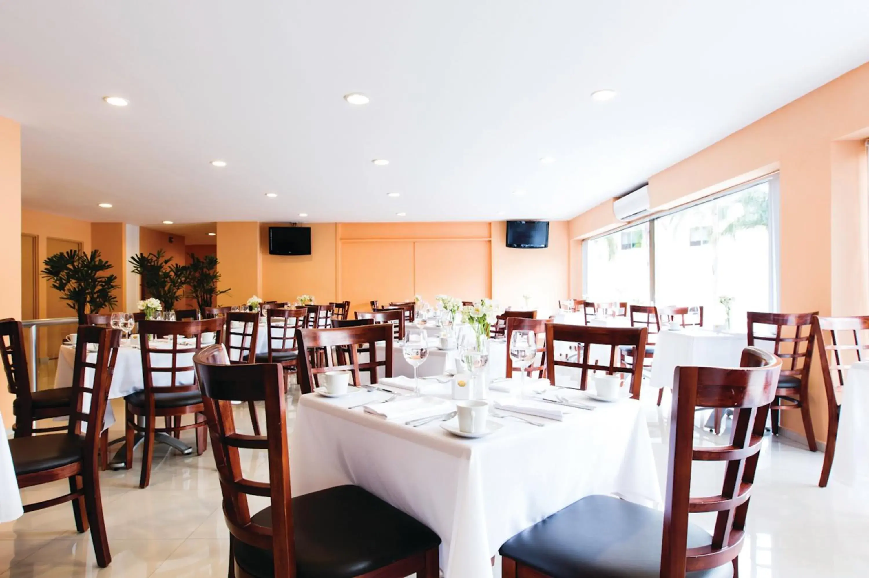 Restaurant/places to eat in Mision Express Merida Altabrisa Restaurant/places to eat in Mision Express Merida Altabrisa