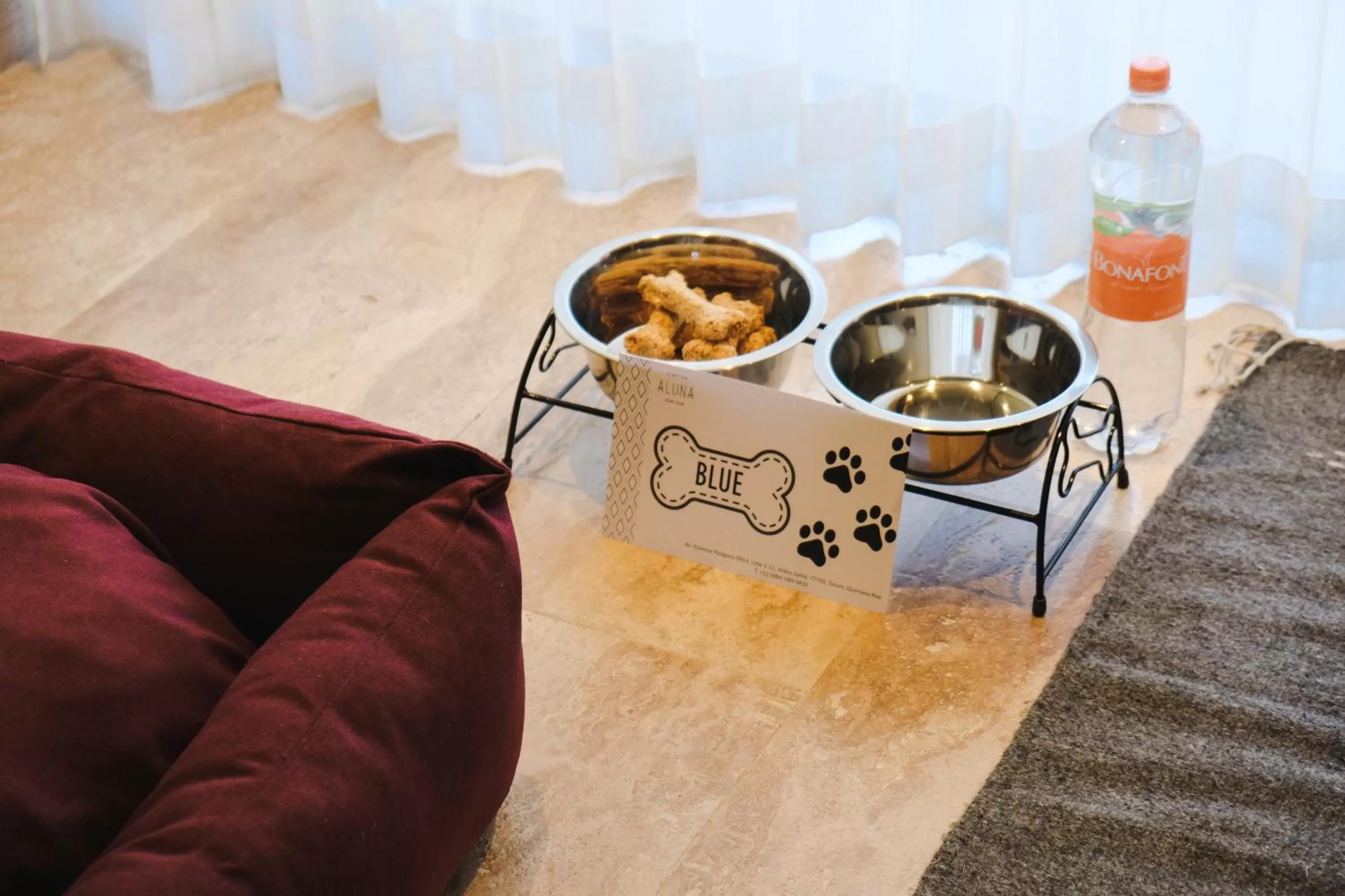 Pets in Kimpton Aluna Resort Tulum by IHG