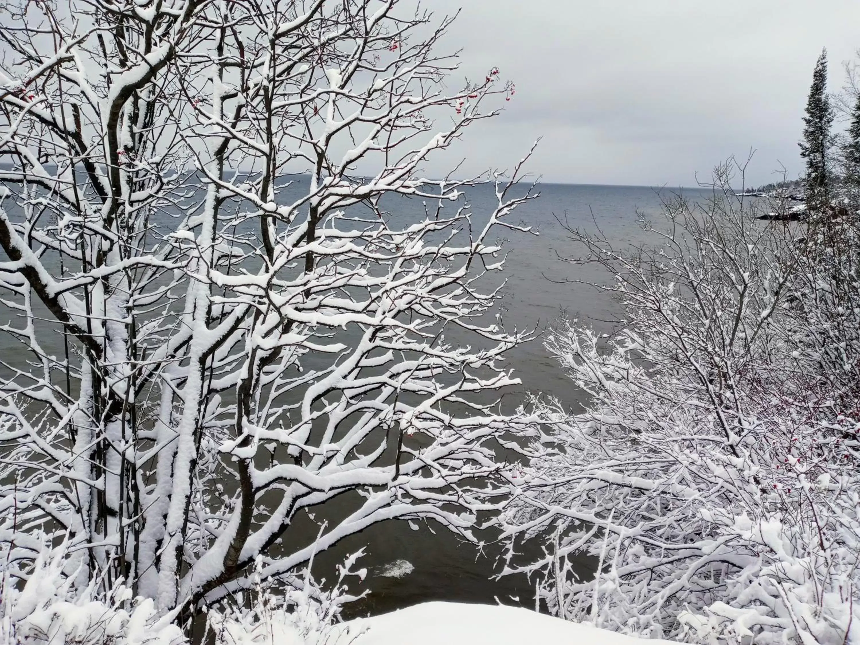 Natural landscape, Winter in Cliff Dweller on Lake Superior