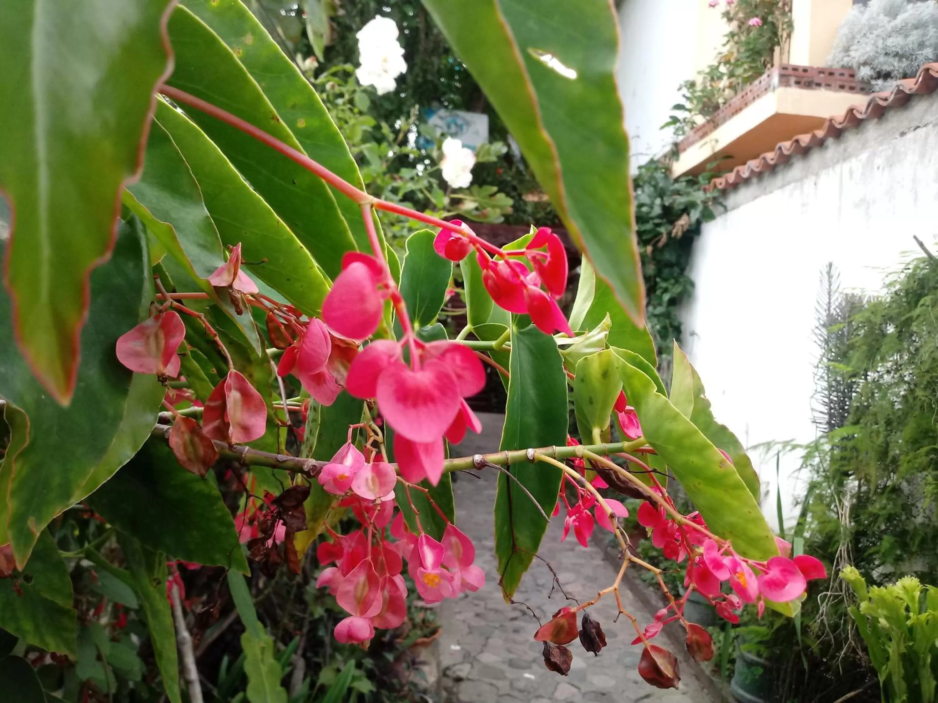 Facade/entrance in Hospedaje El Viajero
