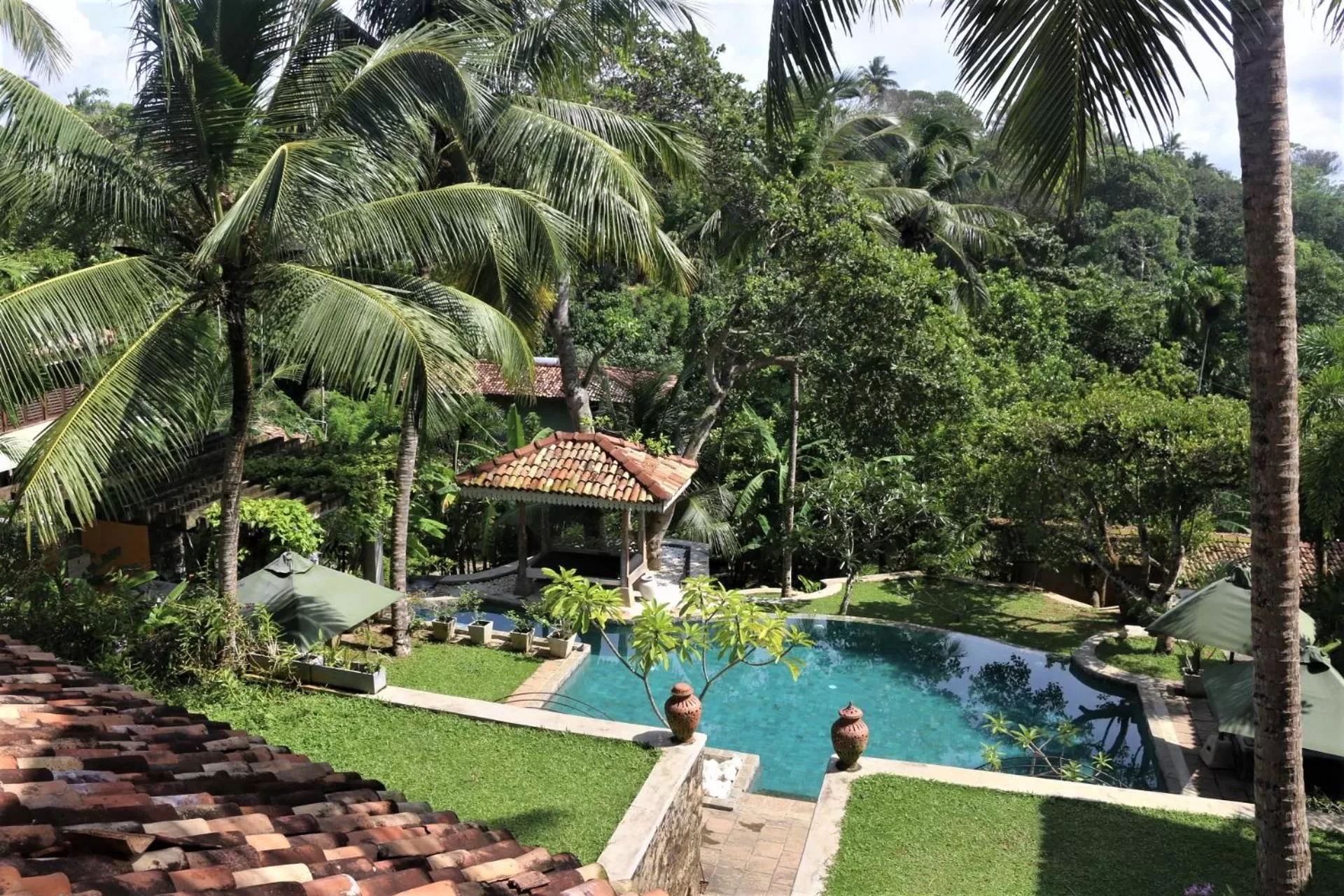 Garden in The Spice House Mirissa