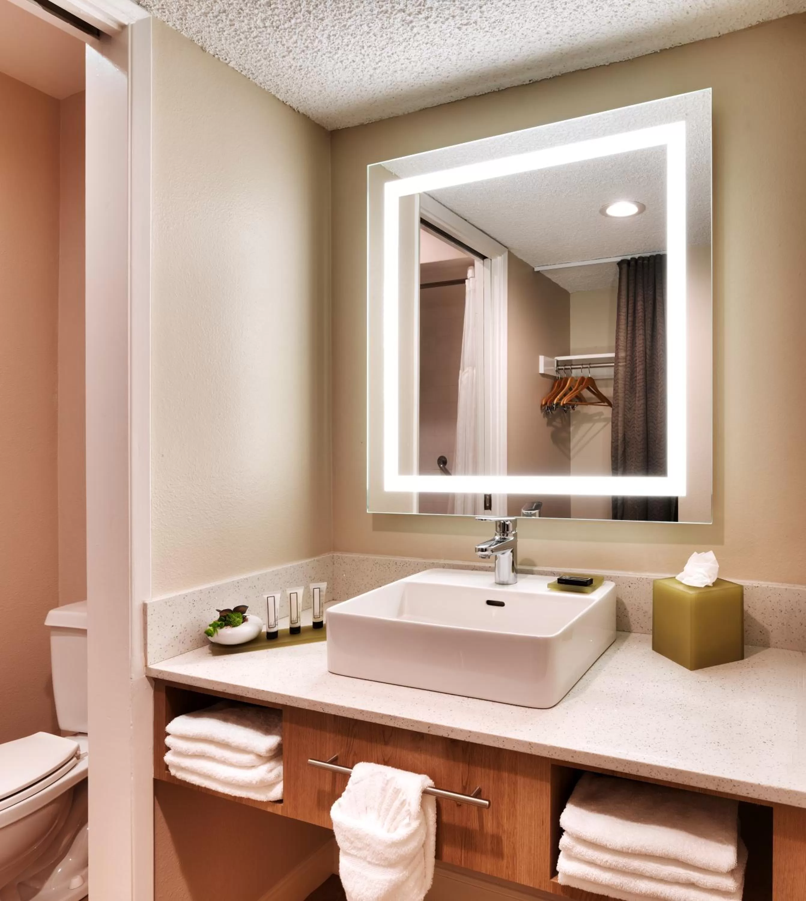 Bathroom in Atrium Hotel Orange County