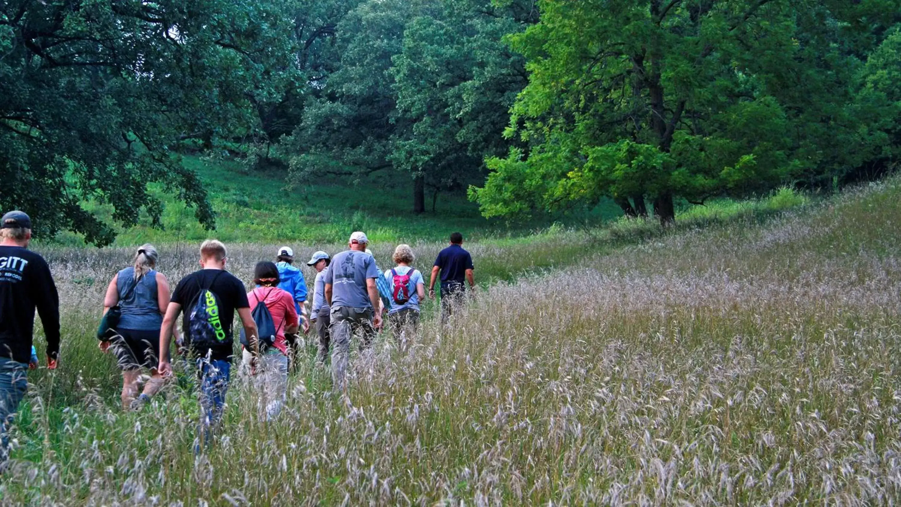 Nearby landmark, Horseback Riding in Holiday Inn Hotel & Suites Council Bluffs, an IHG Hotel