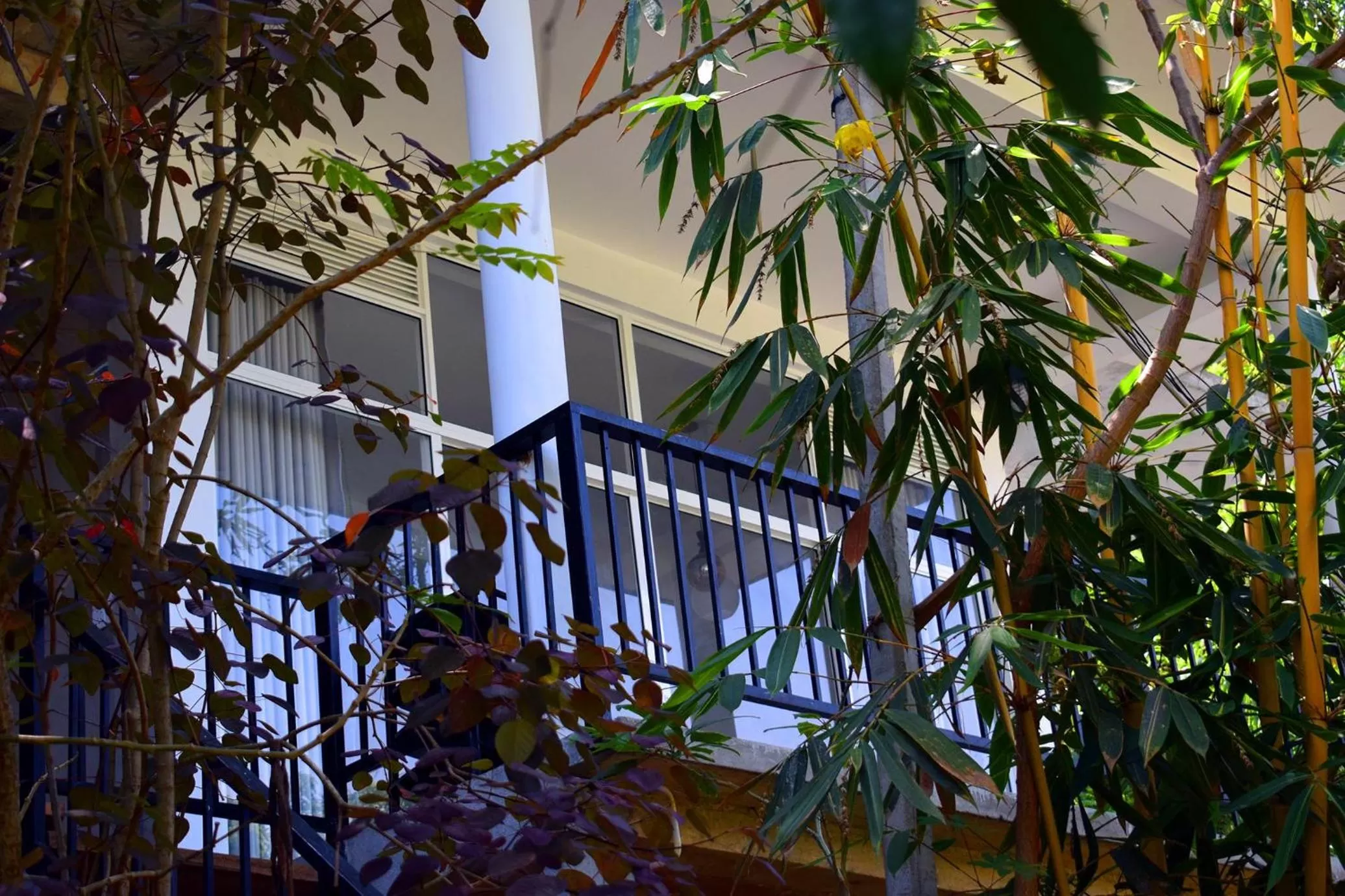 Balcony/Terrace in Raveena Guest House