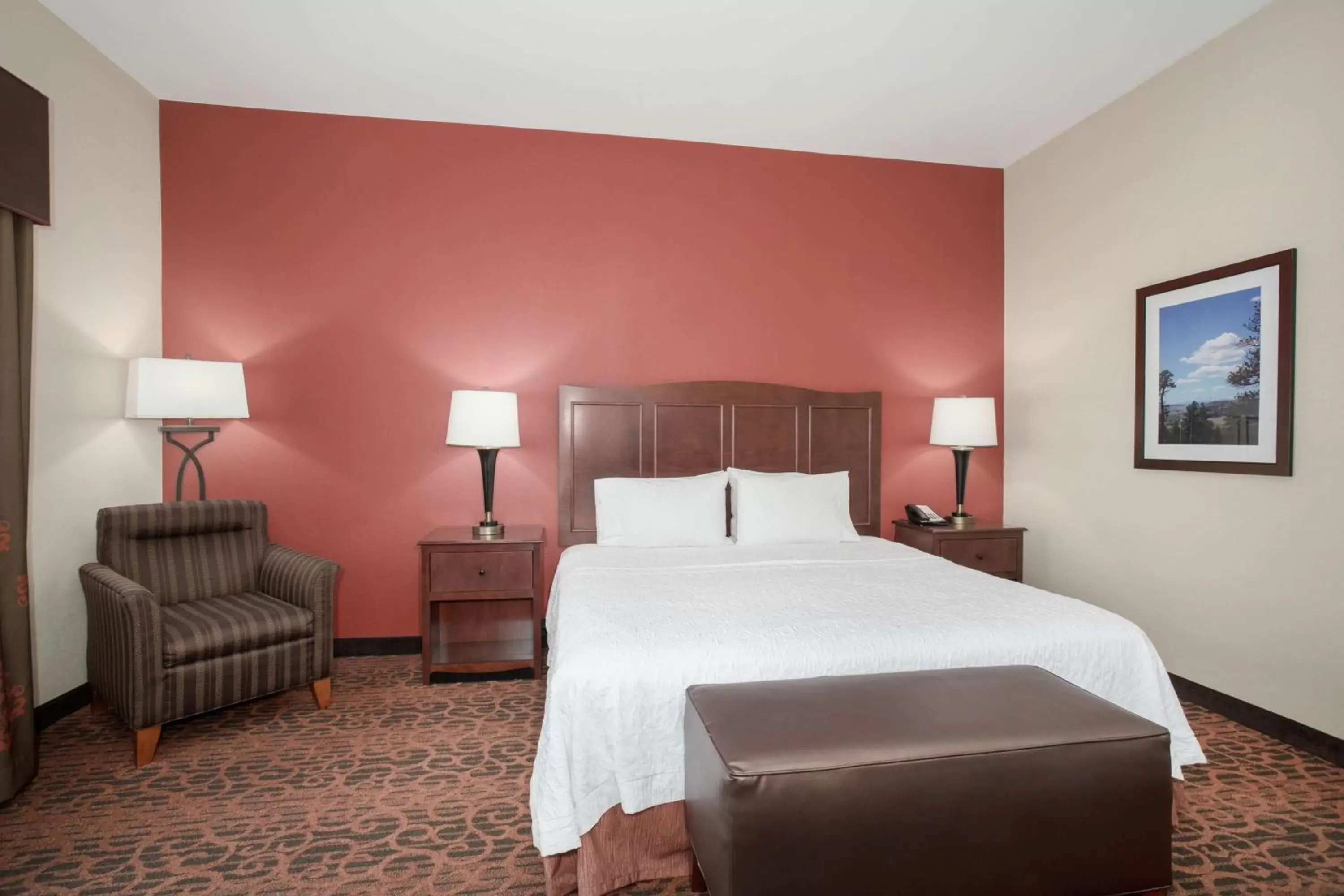 Living room, Bed in Hampton Inn and Suites Denver/South-RidgeGate