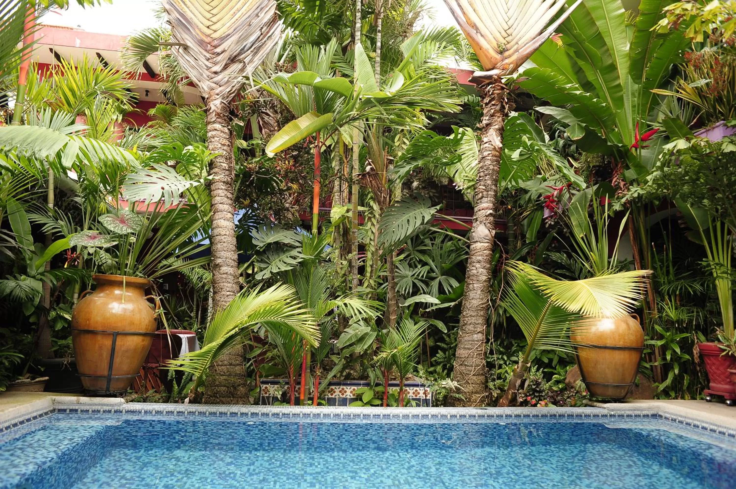 Swimming pool in Hotel Boutique Casona Maya Mexicana