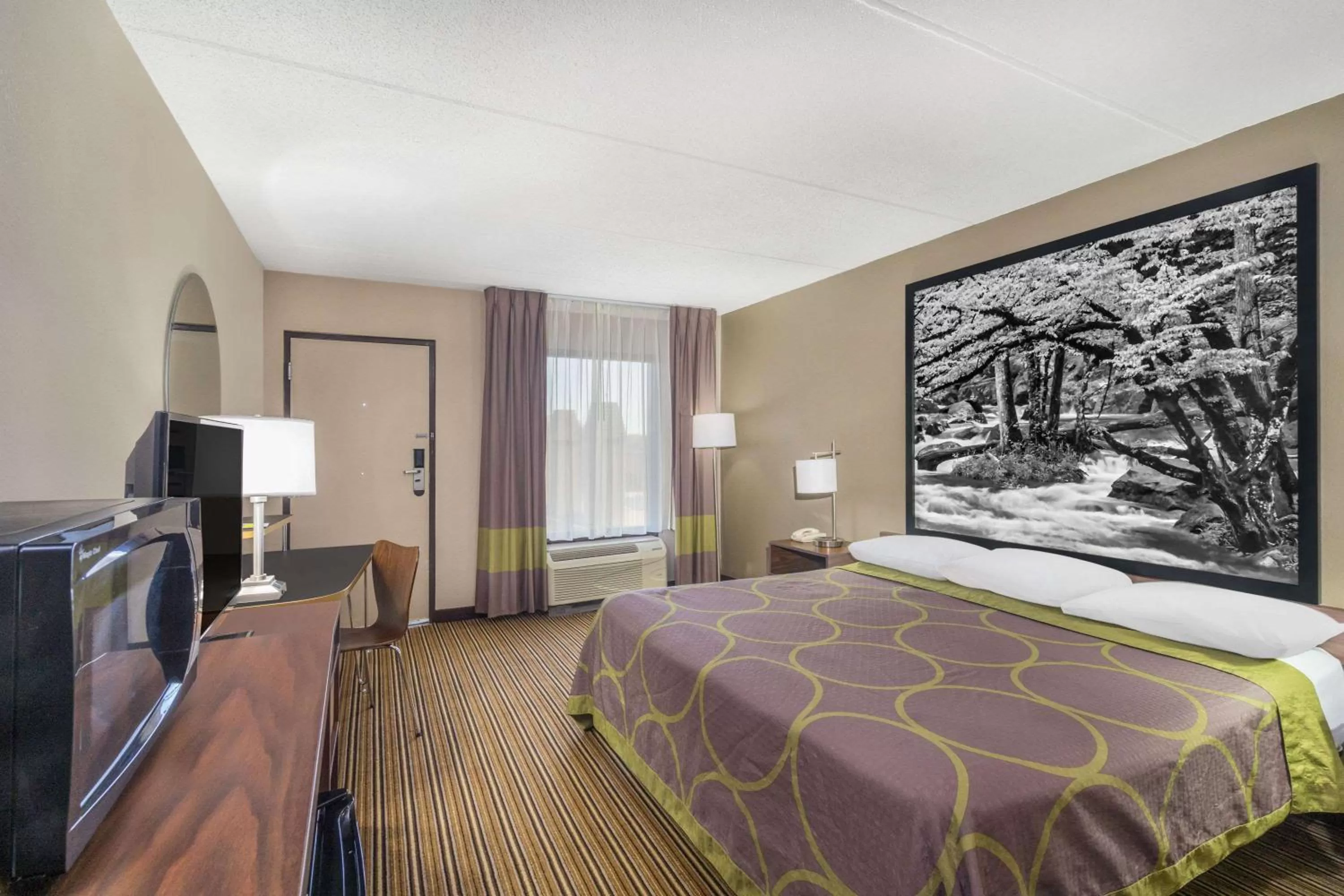 Photo of the whole room, Bed in Super 8 by Wyndham Knoxville North/Powell