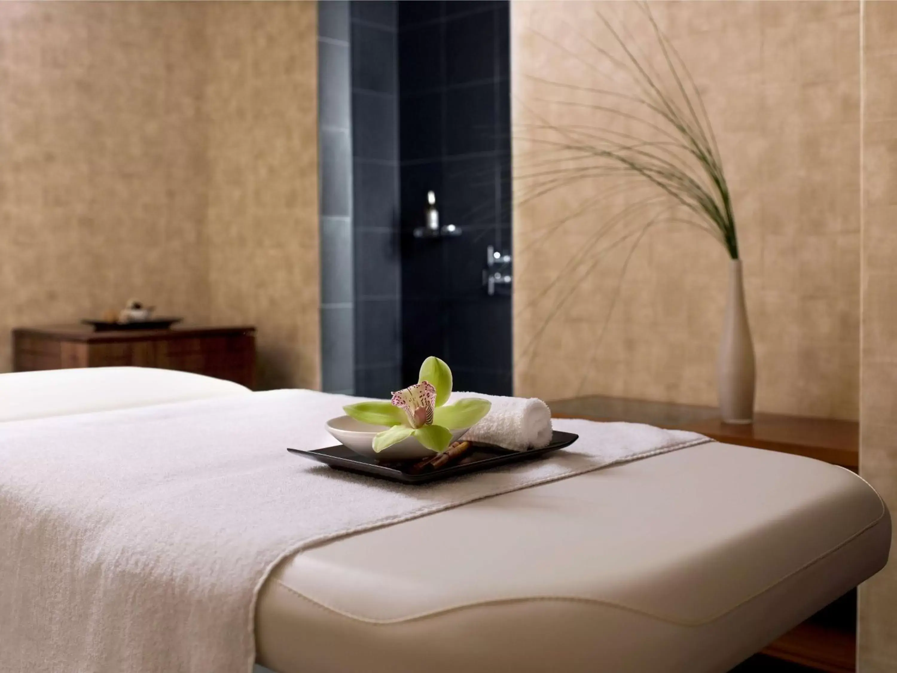 Spa and wellness centre/facilities, Bed in Park Hyatt Zurich – City Center Luxury