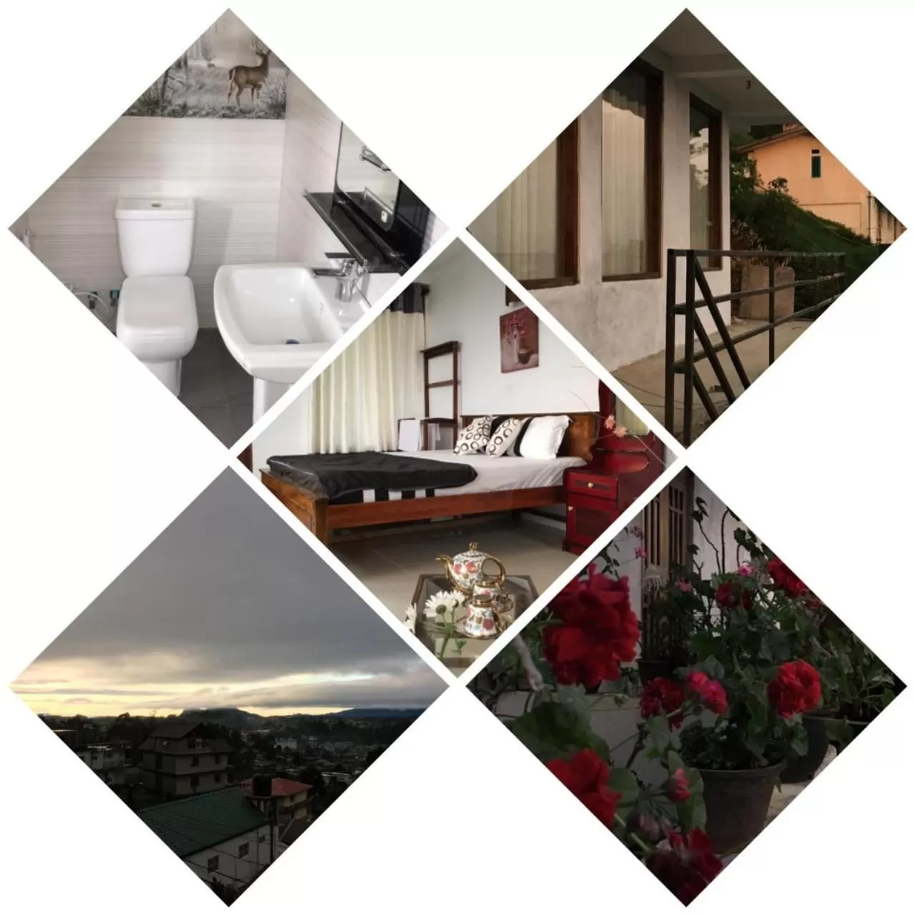 Kitchen/Kitchenette in Golden King Guest