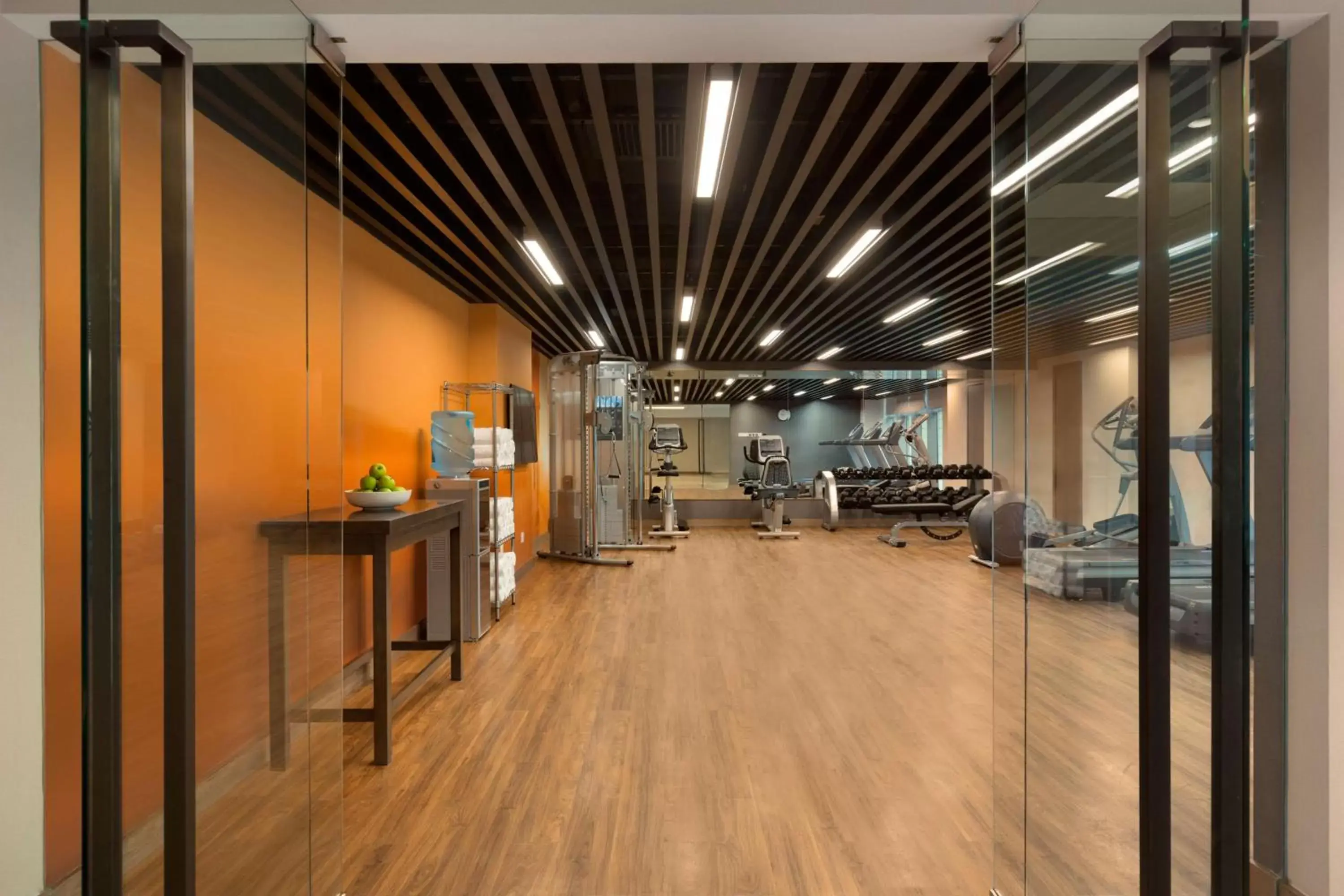 Fitness centre/facilities in Hyatt Place Shenzhen Dongmen