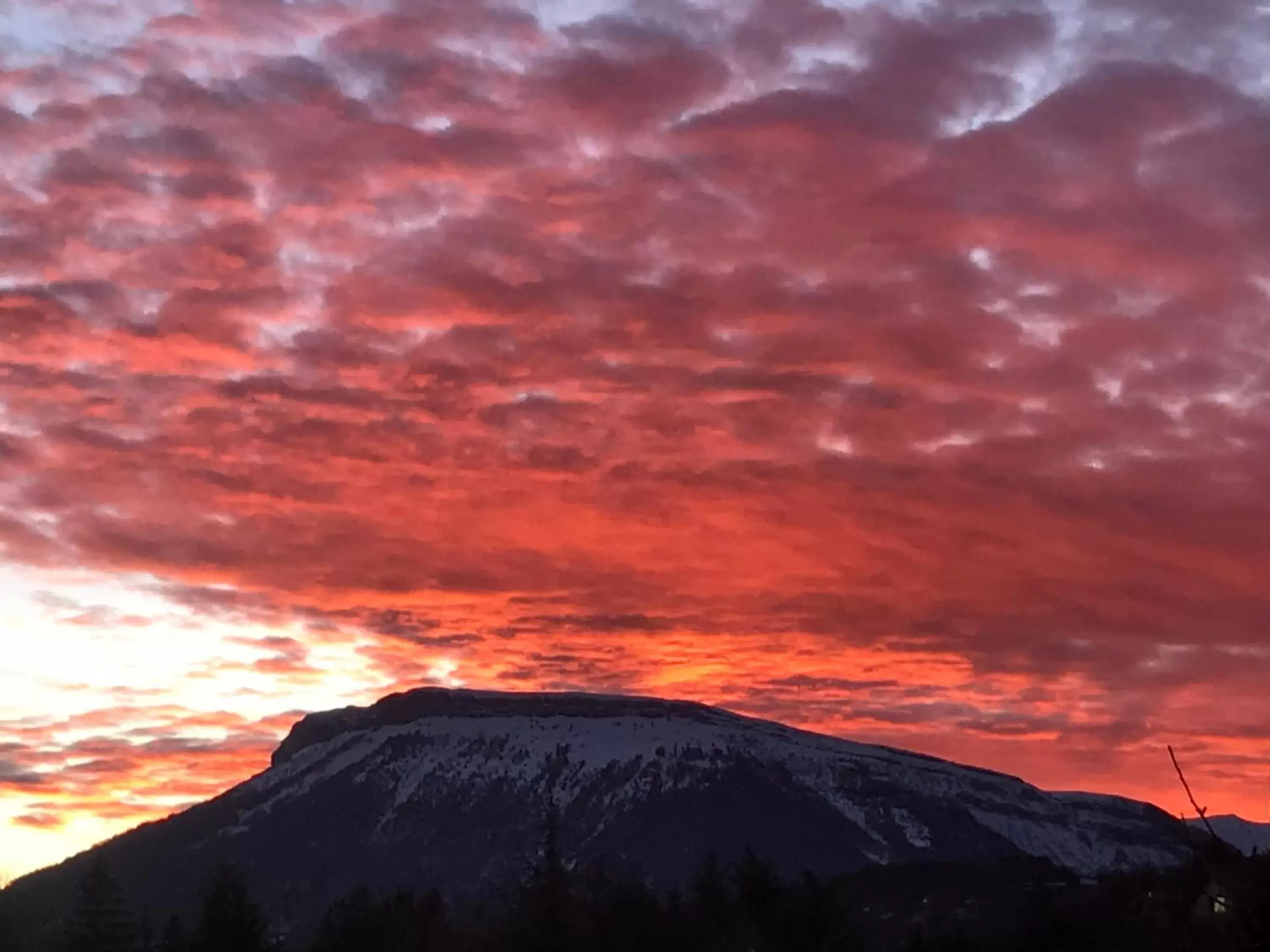 Sunrise/Sunset in Les Olivades