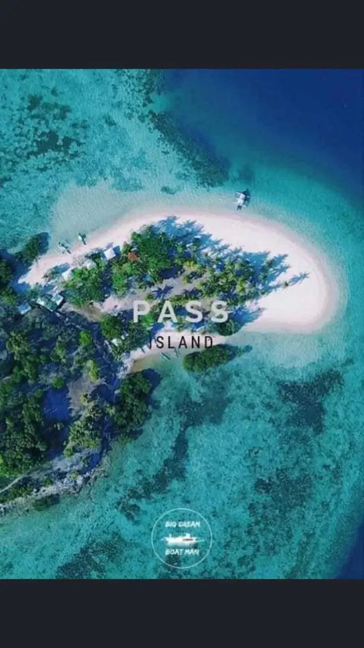 Bird's-eye View in Sanctuaria Treehouses Busuanga