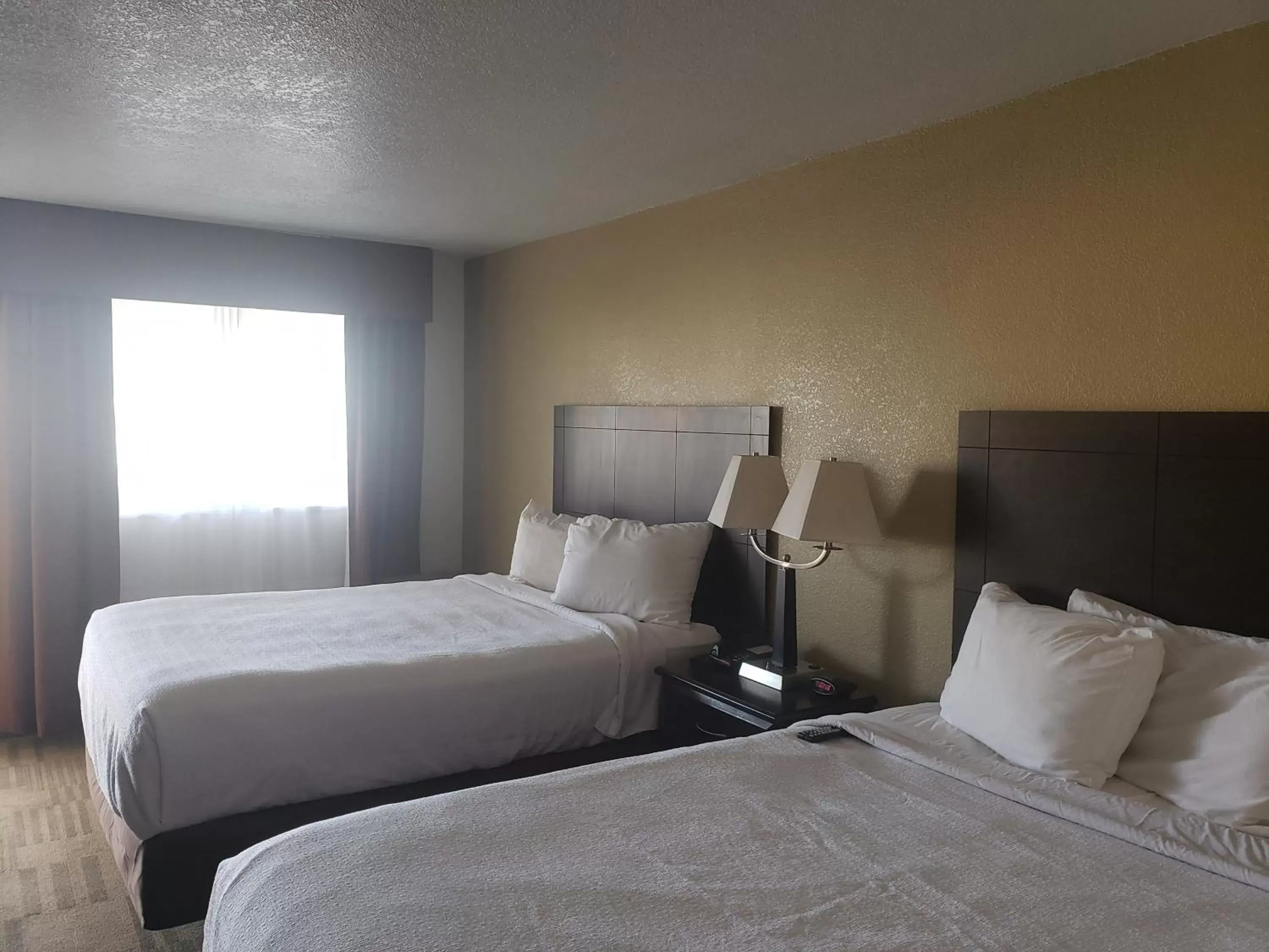 Bed in Grand Texan Hotel and Convention Center