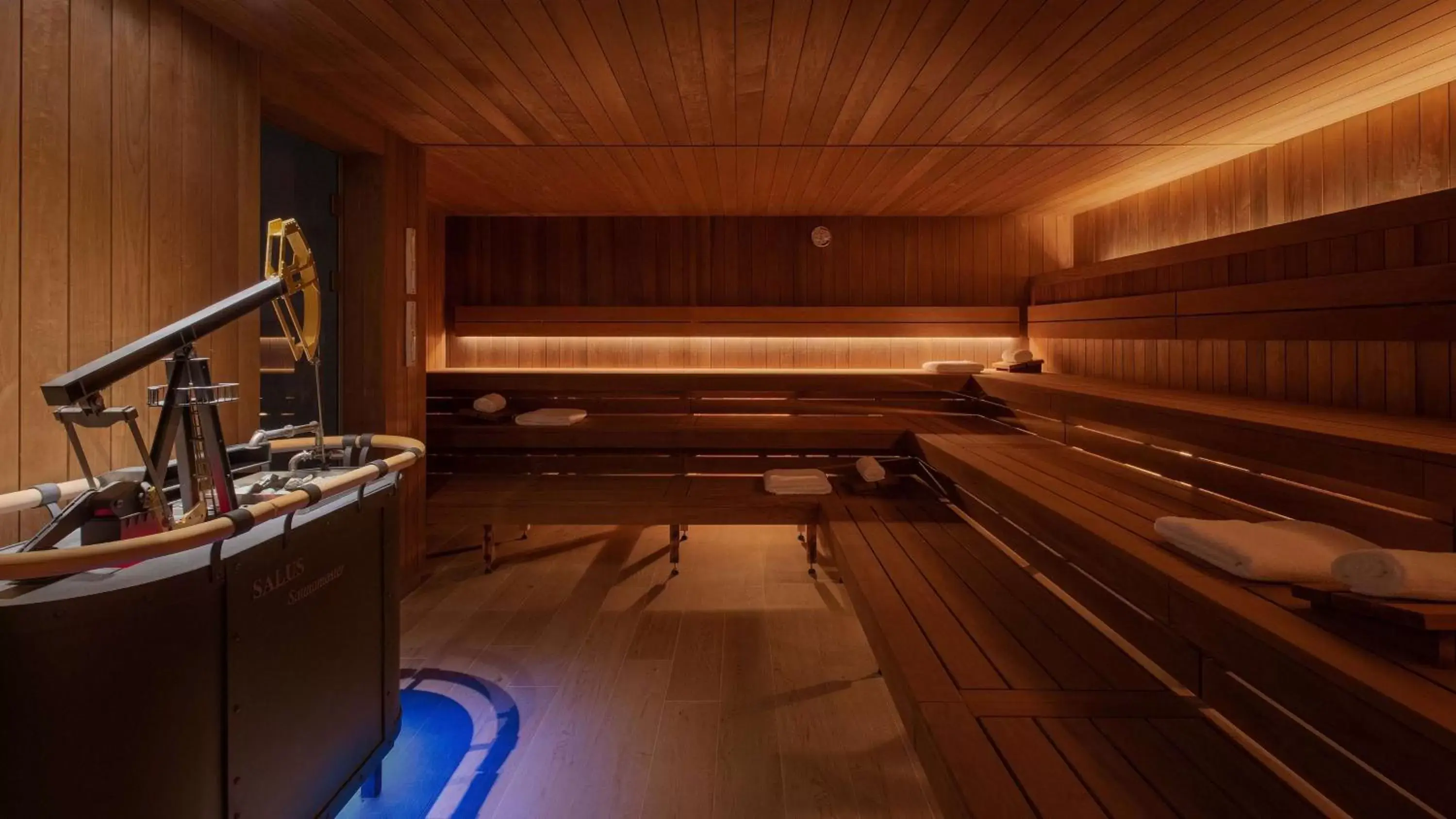 Spa and wellness centre/facilities, Kitchen/Kitchenette in Hilton Rijeka Costabella Beach Resort And Spa