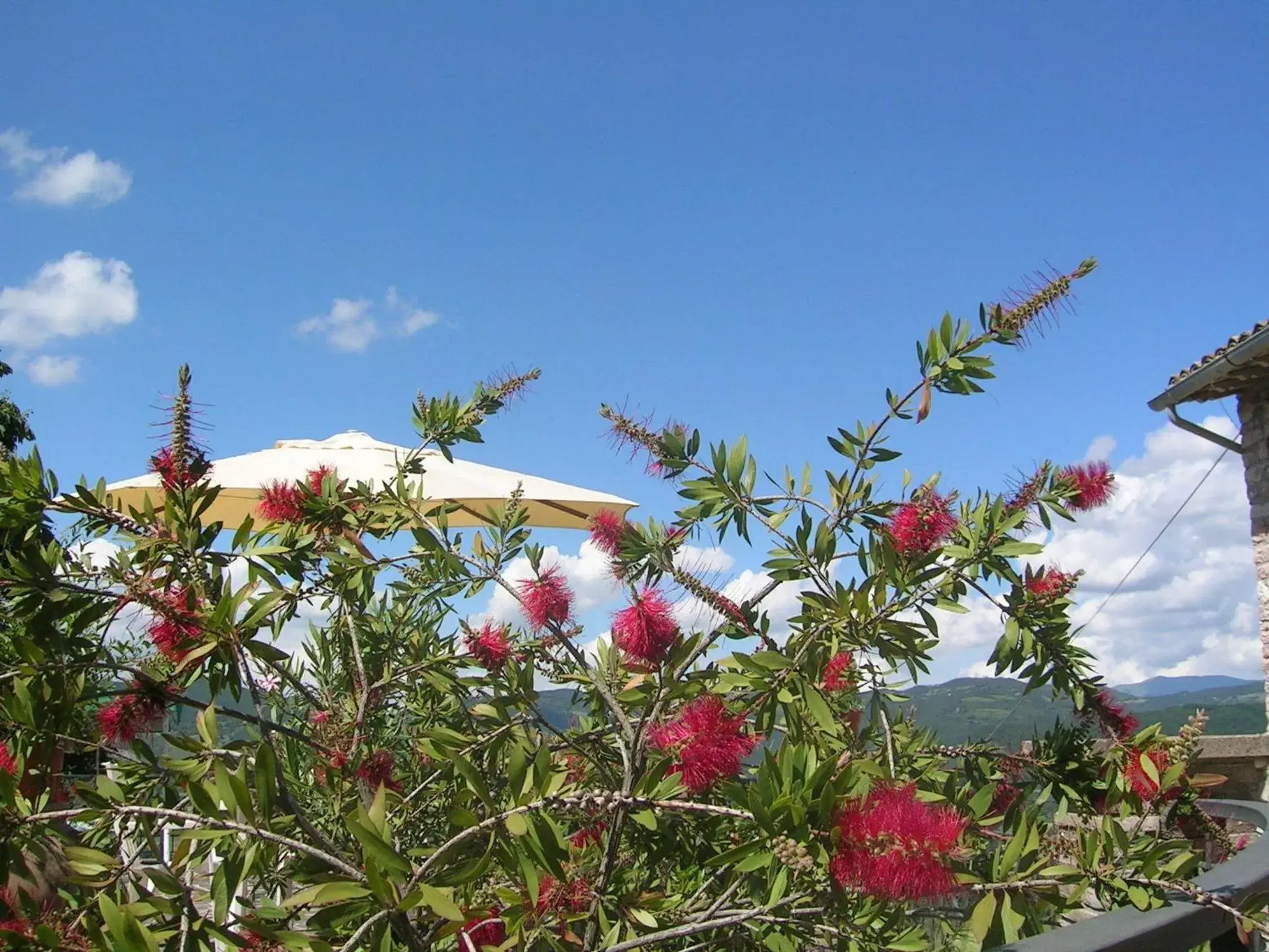 Garden view in B&B La Terrazza Del Subasio