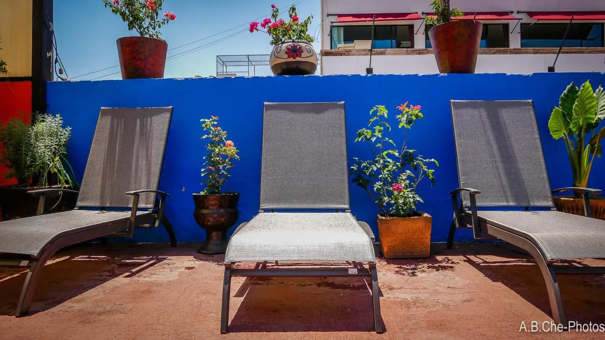 Balcony/Terrace in Casona Rosa B&B, Morelia