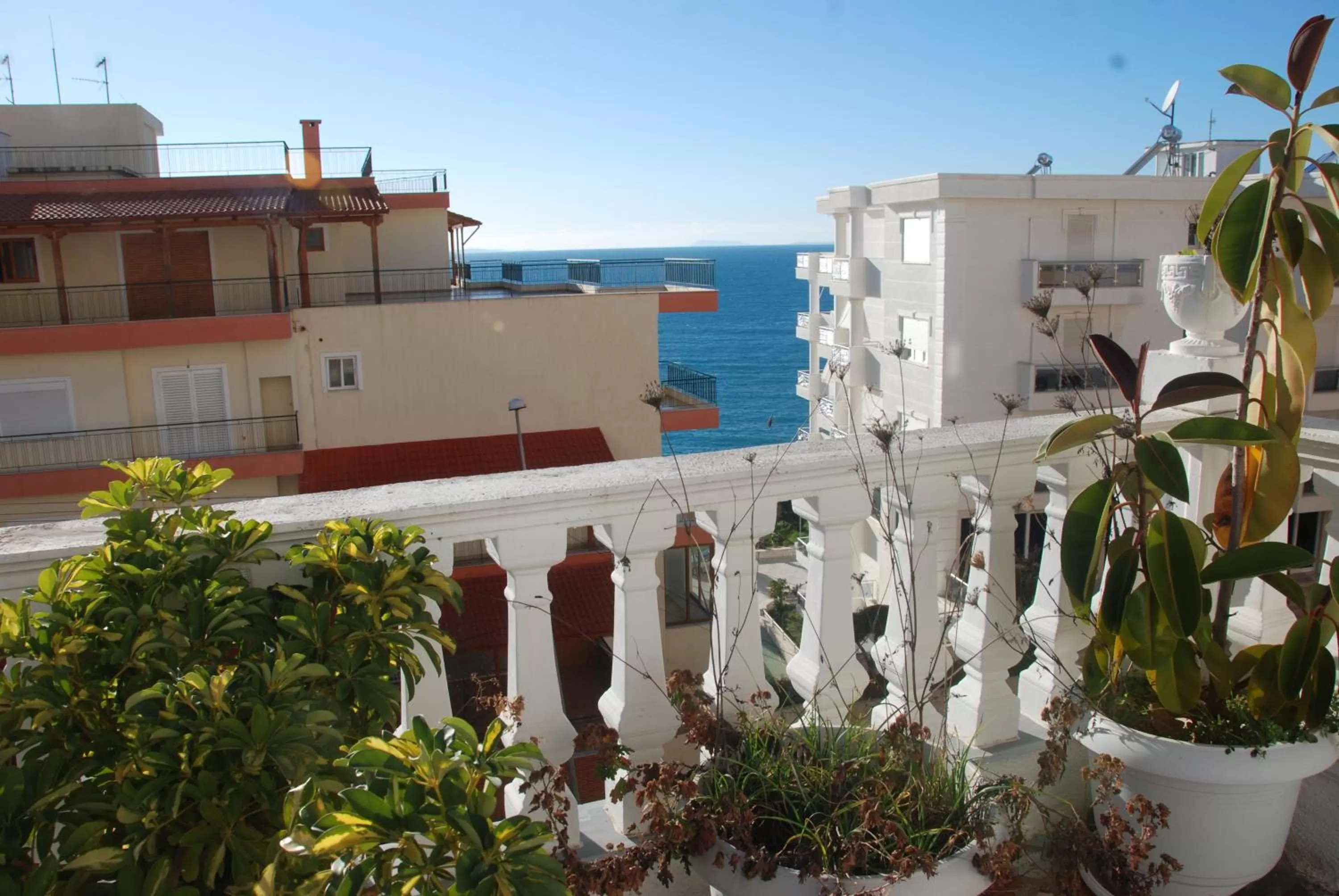 View (from property/room) in Hotel Primavera