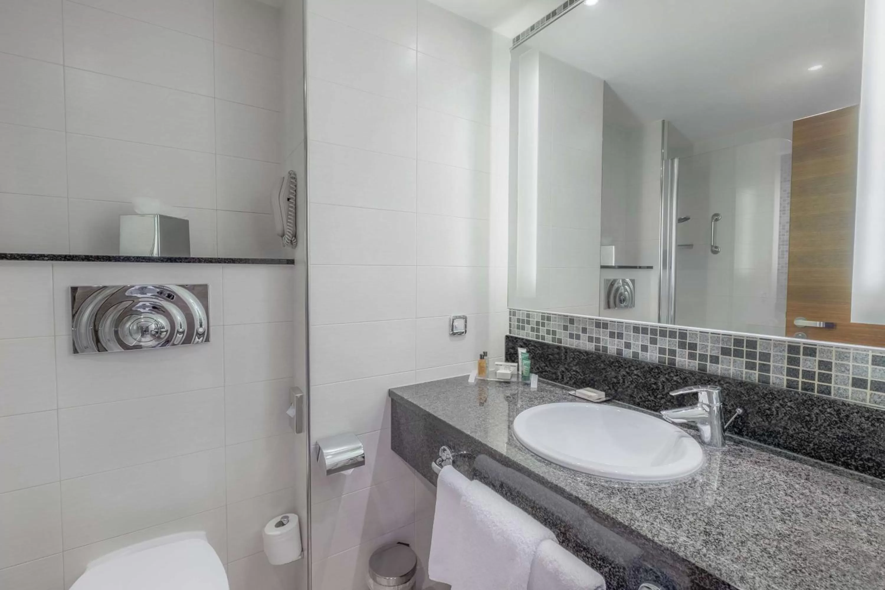 Bathroom in Hilton Reading