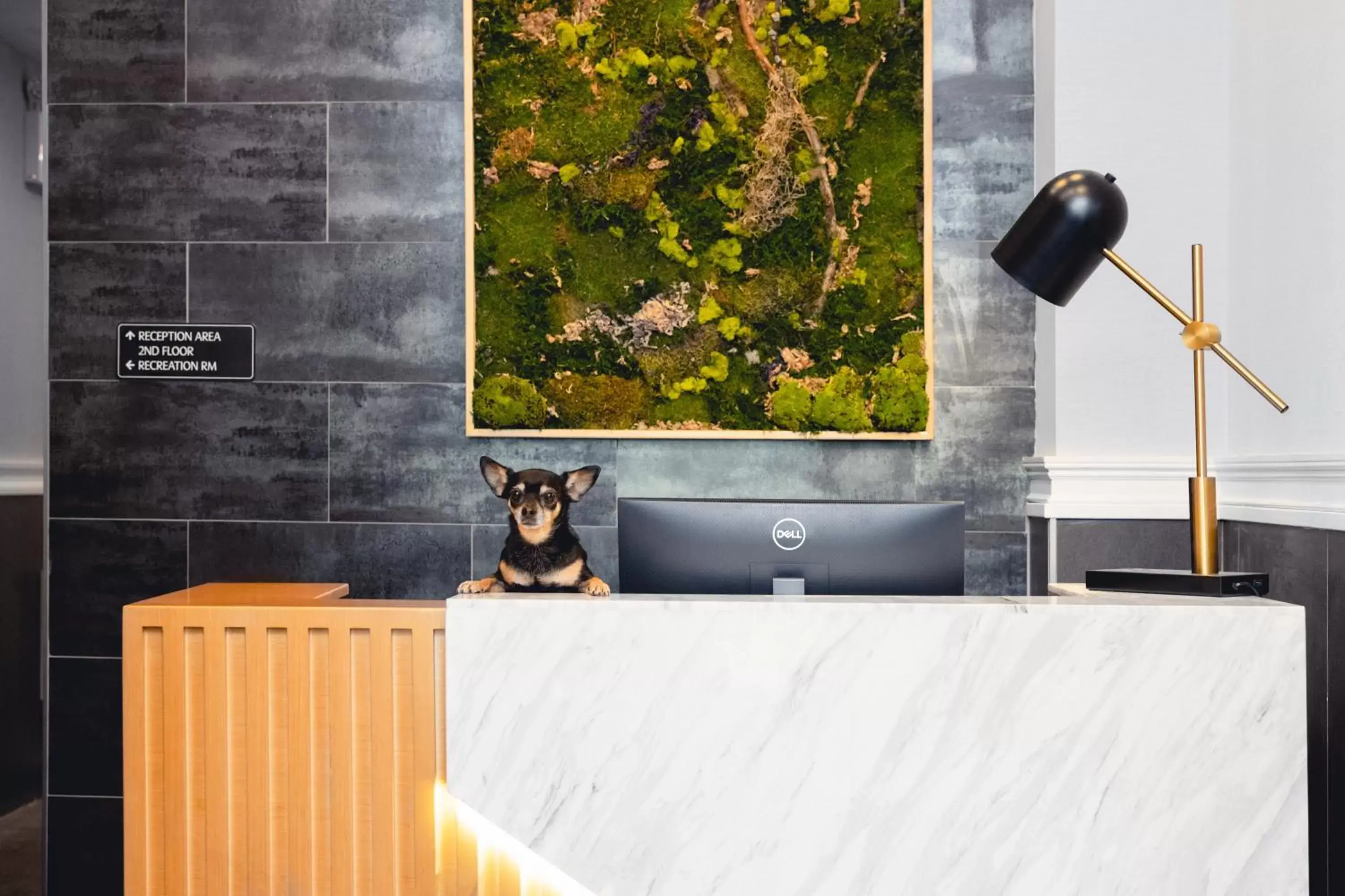 The Modernist Hotel The Modernist Hotel