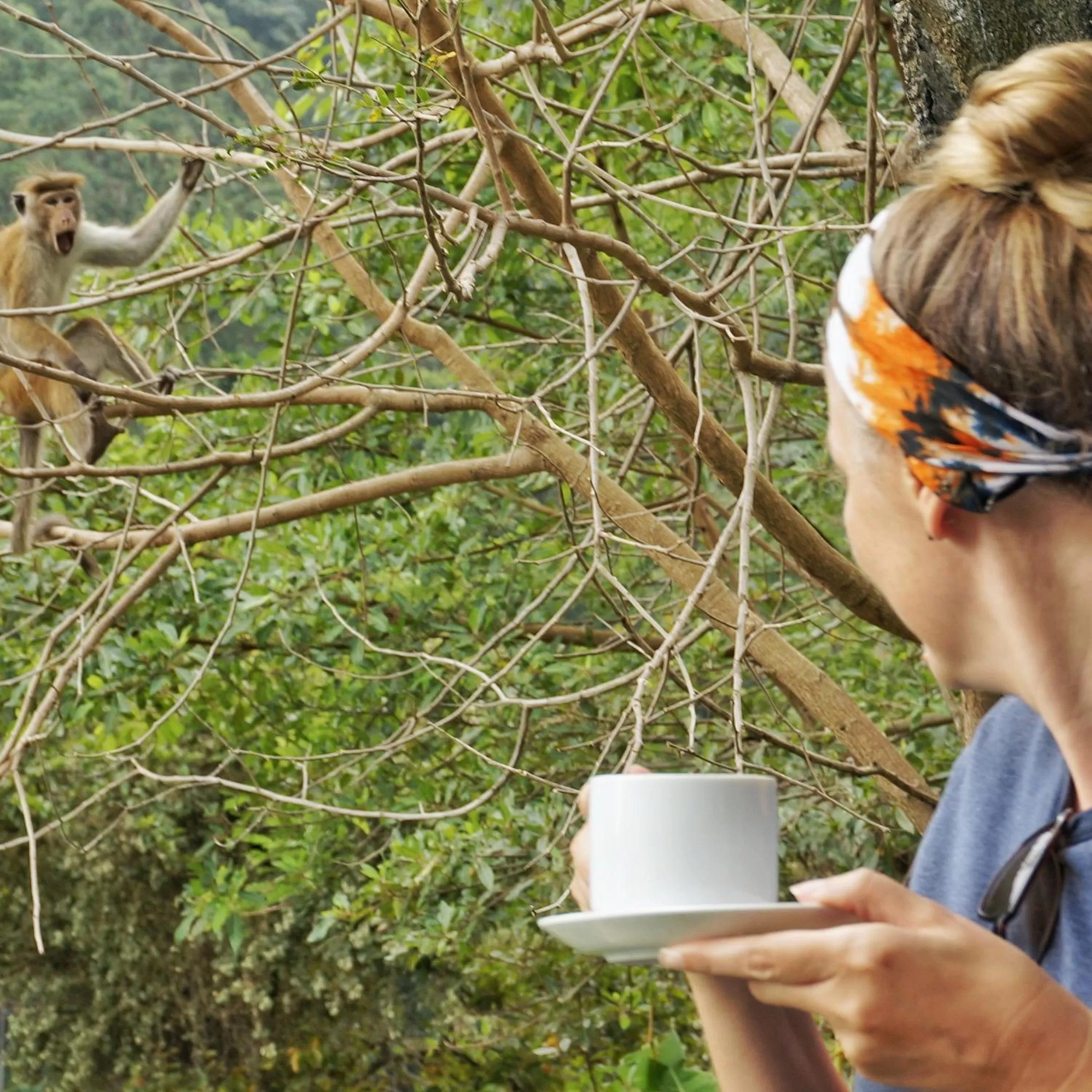 Ella Lucky Panoramic