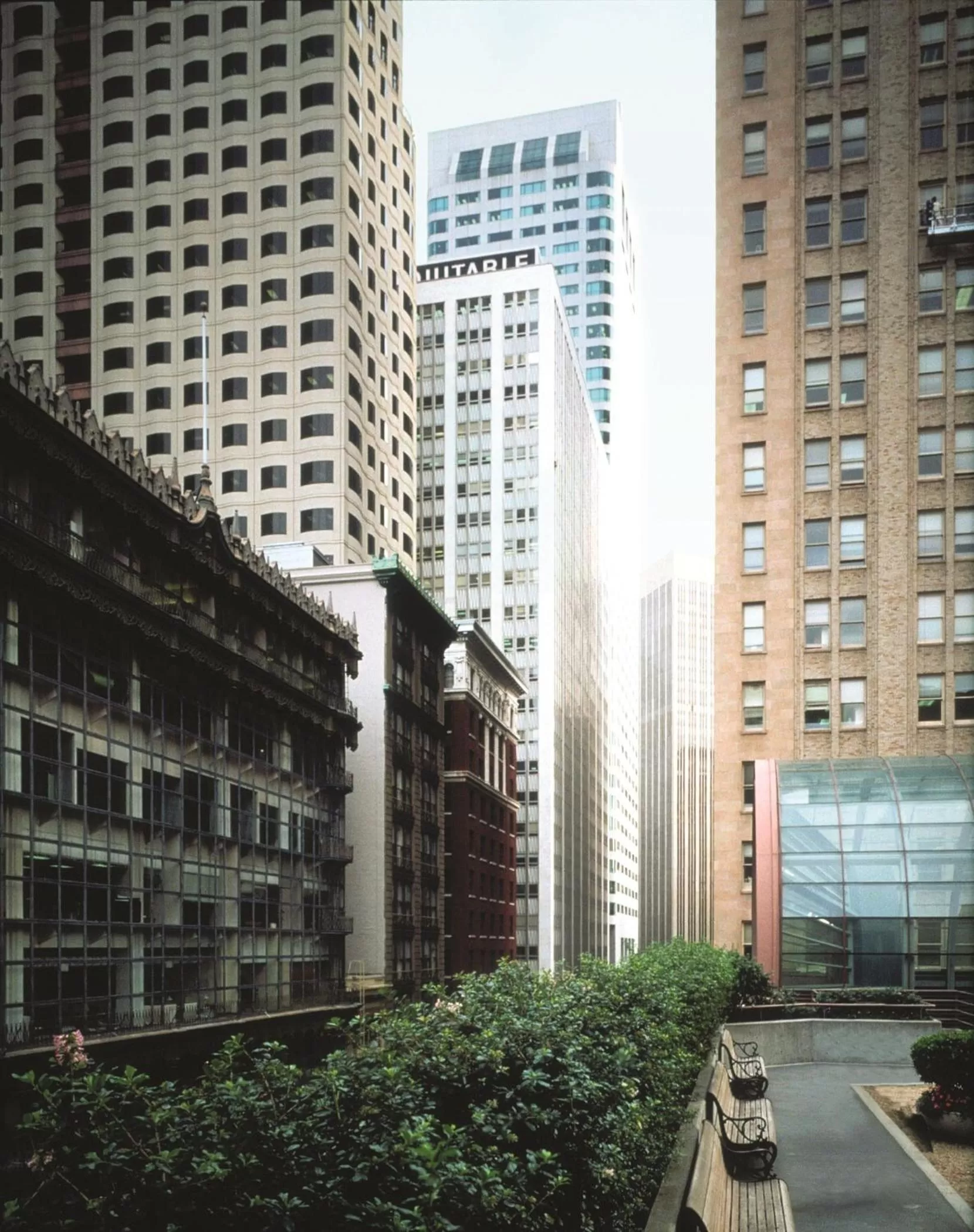 Garden in Galleria Park Hotel