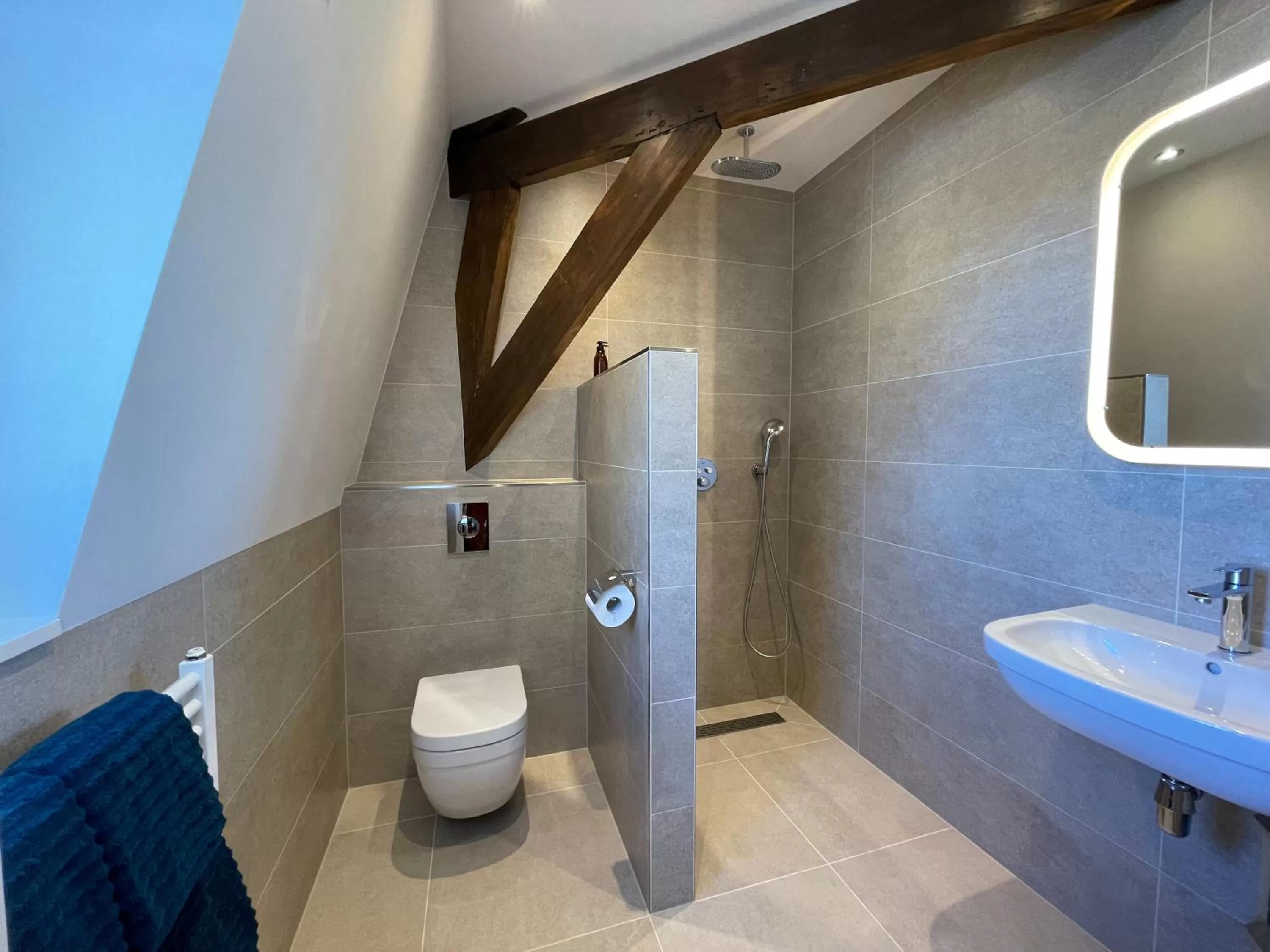 Bathroom in BnB 't Ambacht