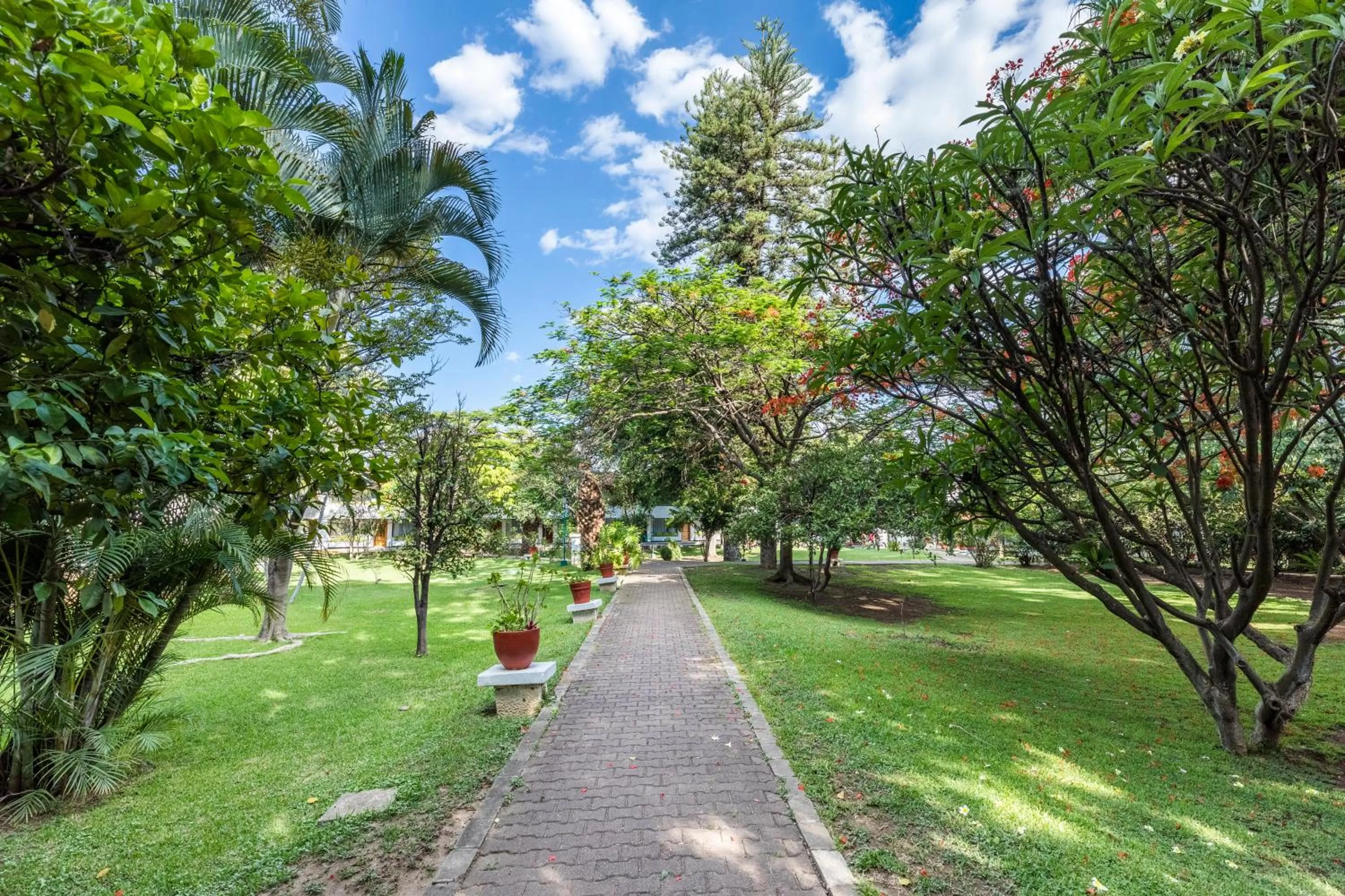 Day in Mision De Los Angeles