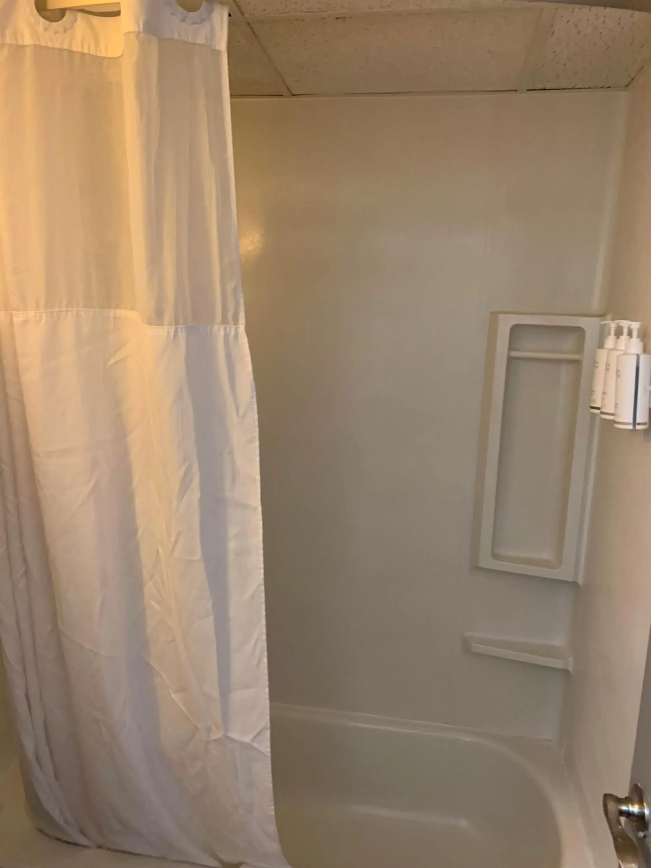 Shower, Bathroom in Days Inn by Wyndham Louisville Airport Fair and Expo Center