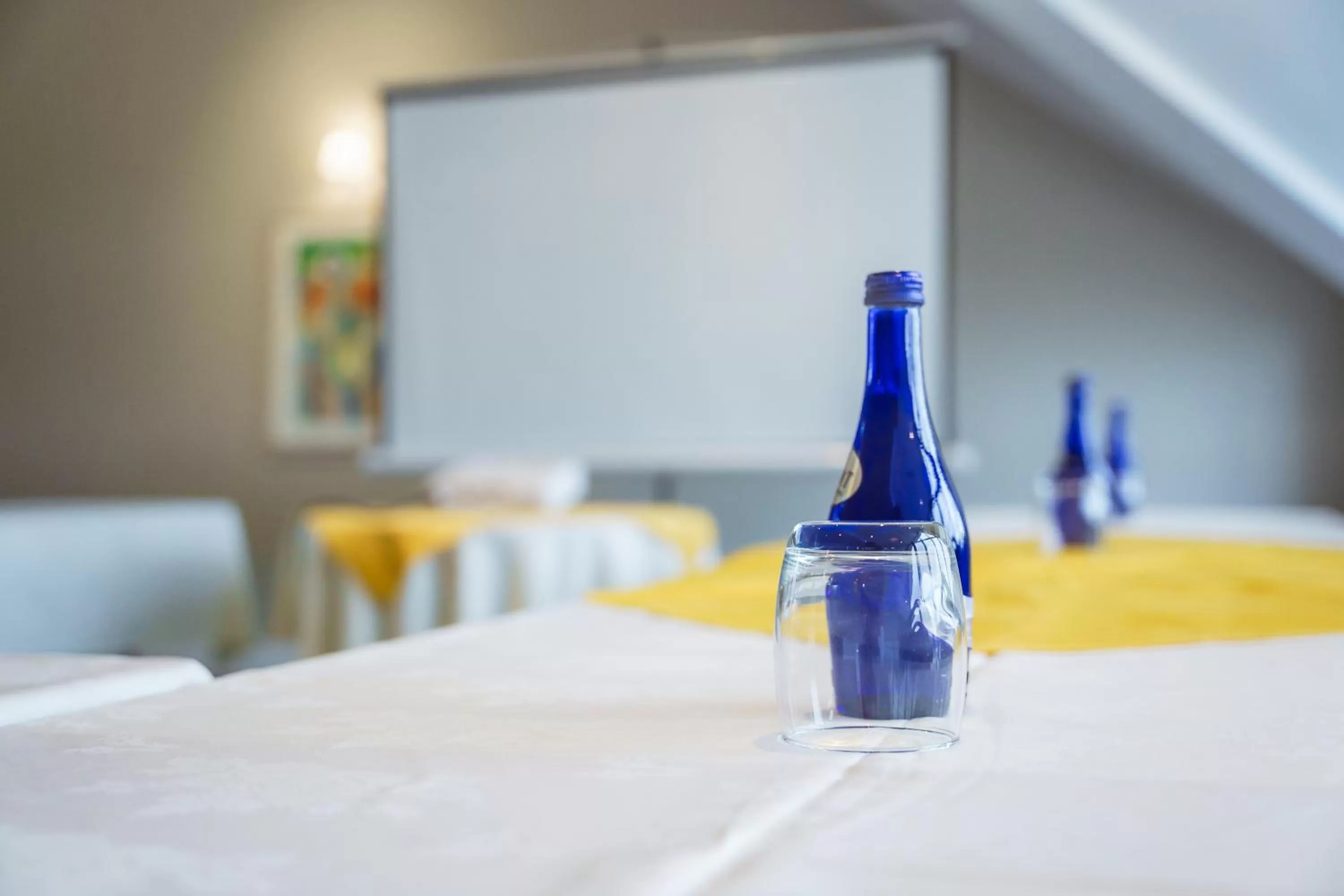 Banquet/Function facilities, Bed in Aberystwyth Park Lodge Hotel