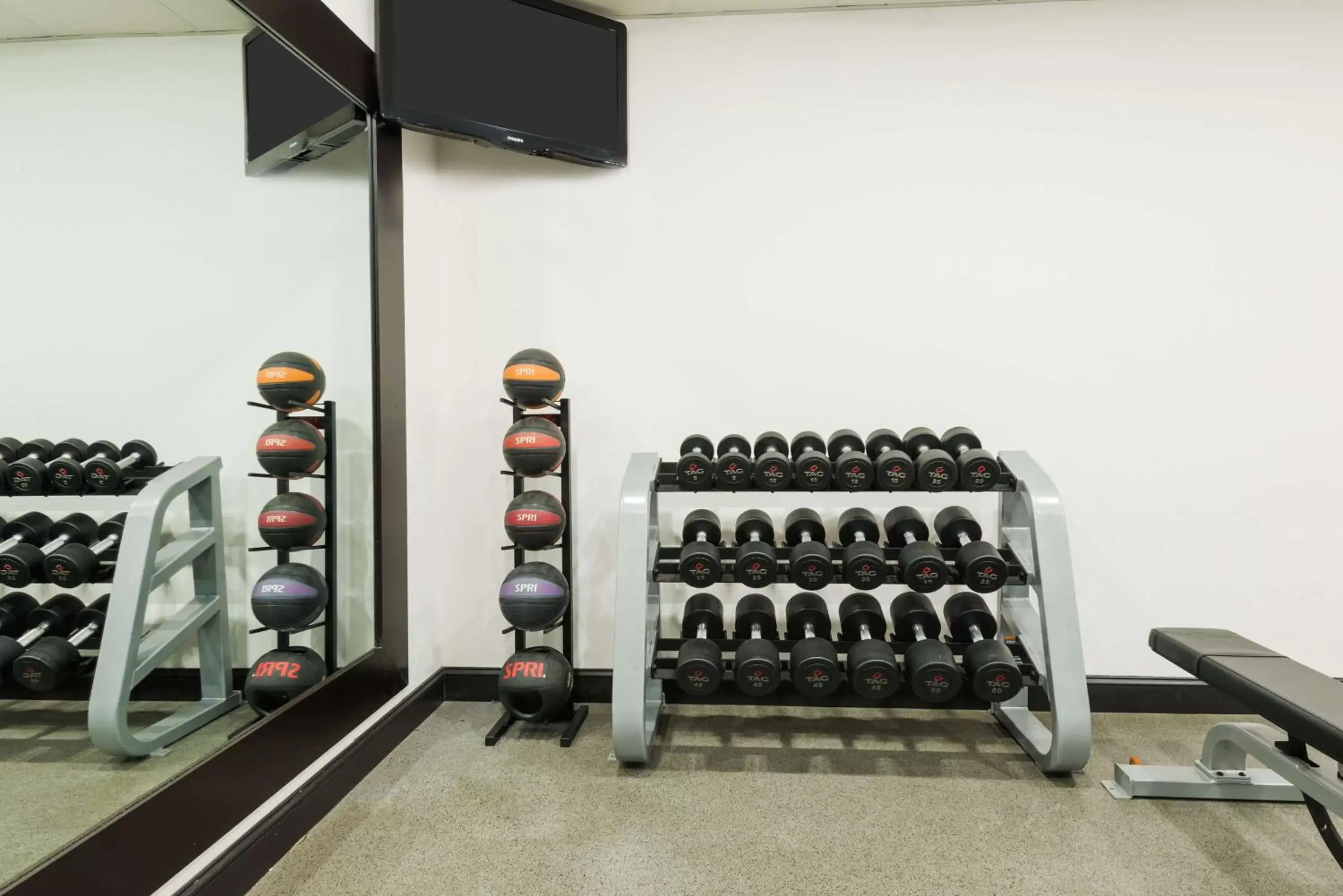 Fitness centre/facilities, Fitness Center/Facilities in Homewood Suites by Hilton Holyoke-Springfield/North