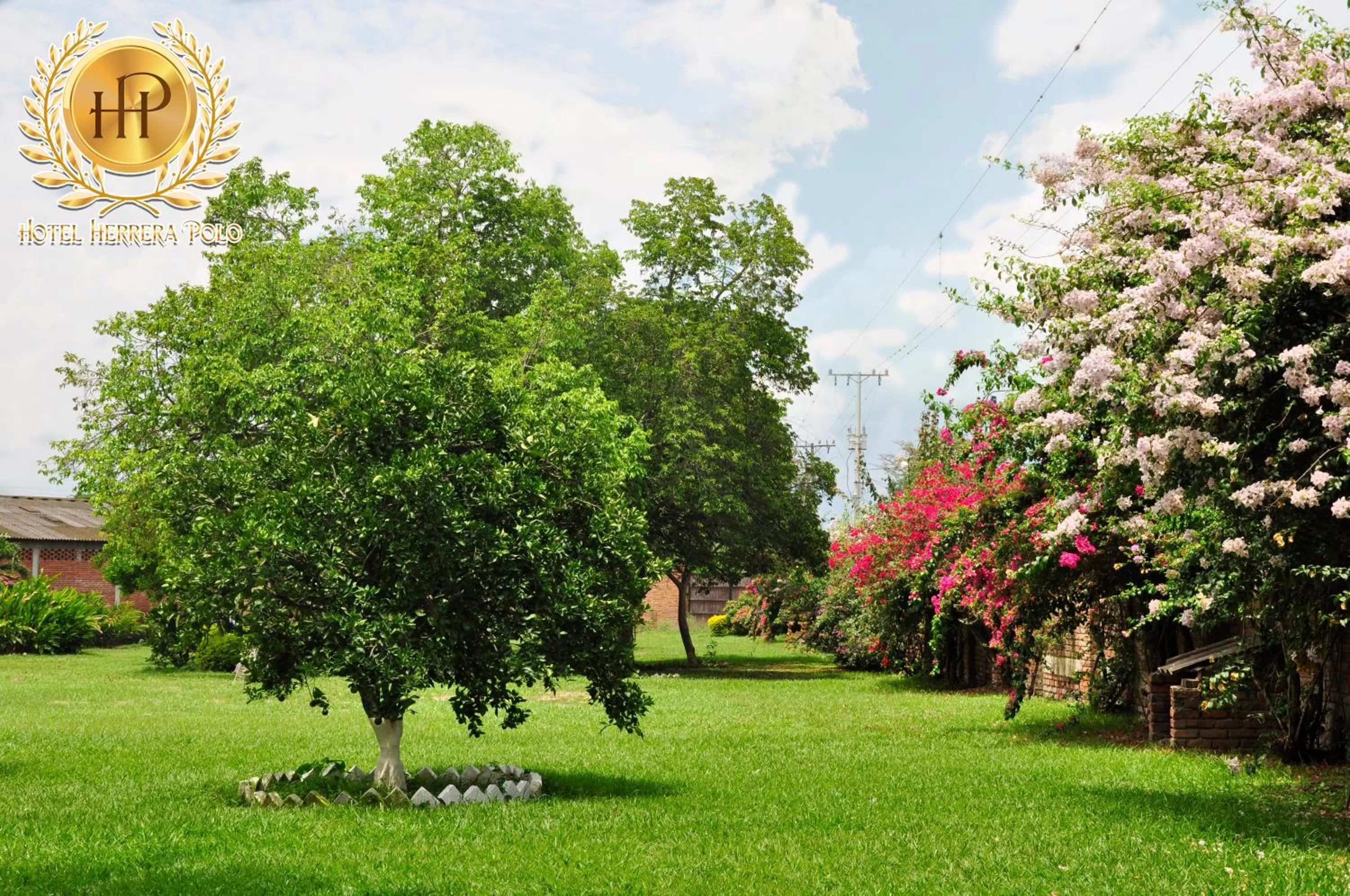 Patio, Garden in Hotel Herrera Polo
